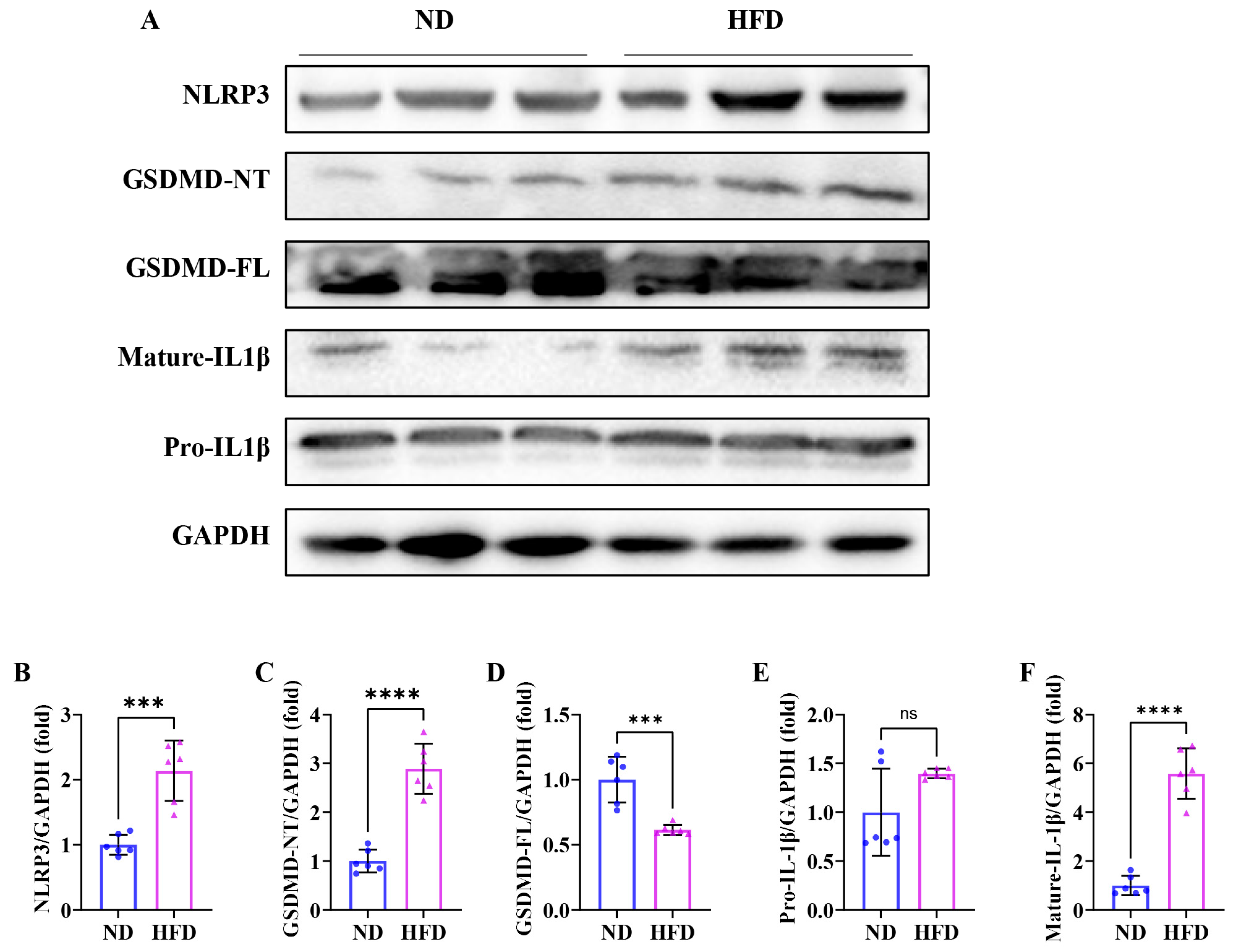 Nutrients 17 01711 g007