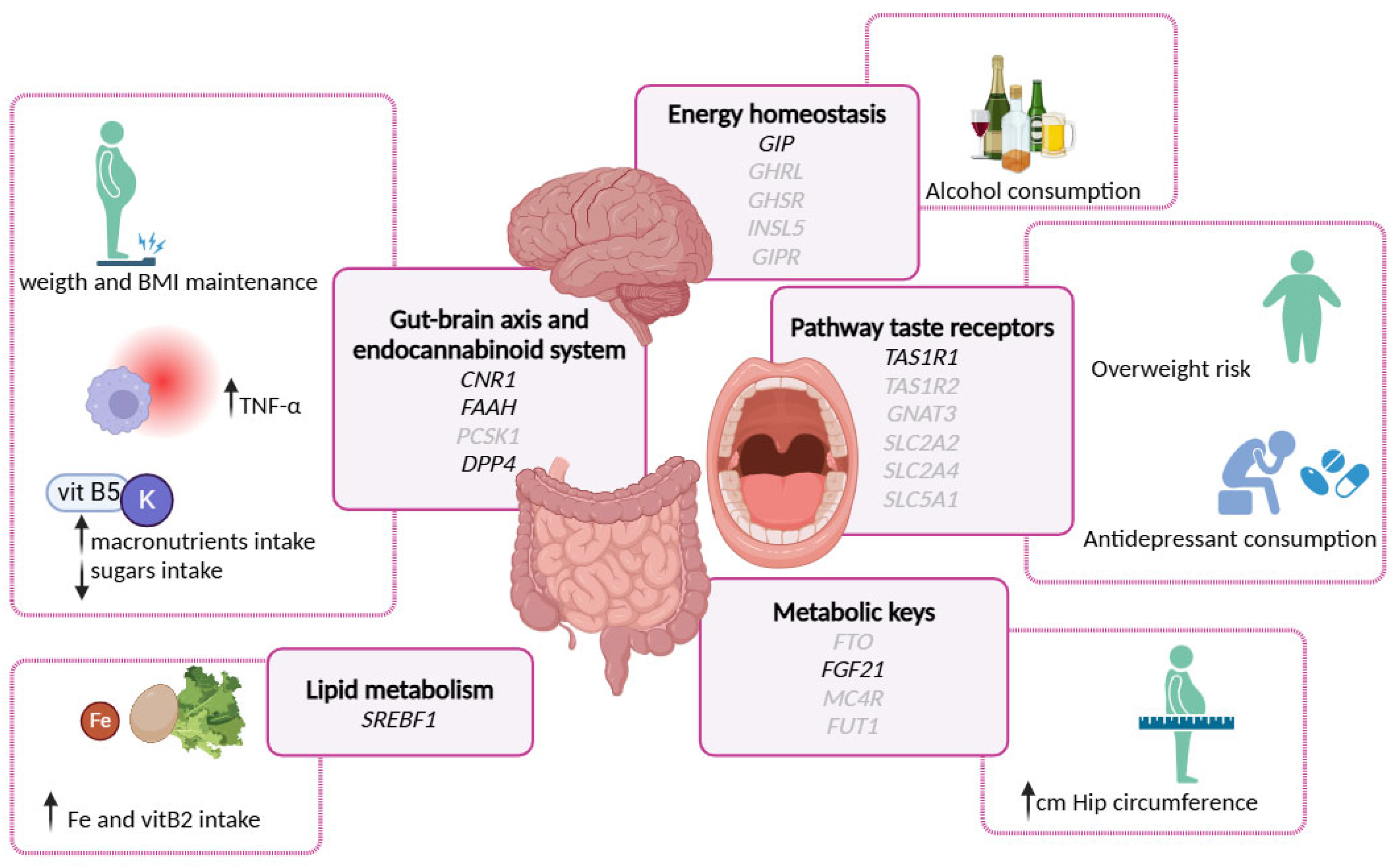 Nutrients 17 01712 g003
