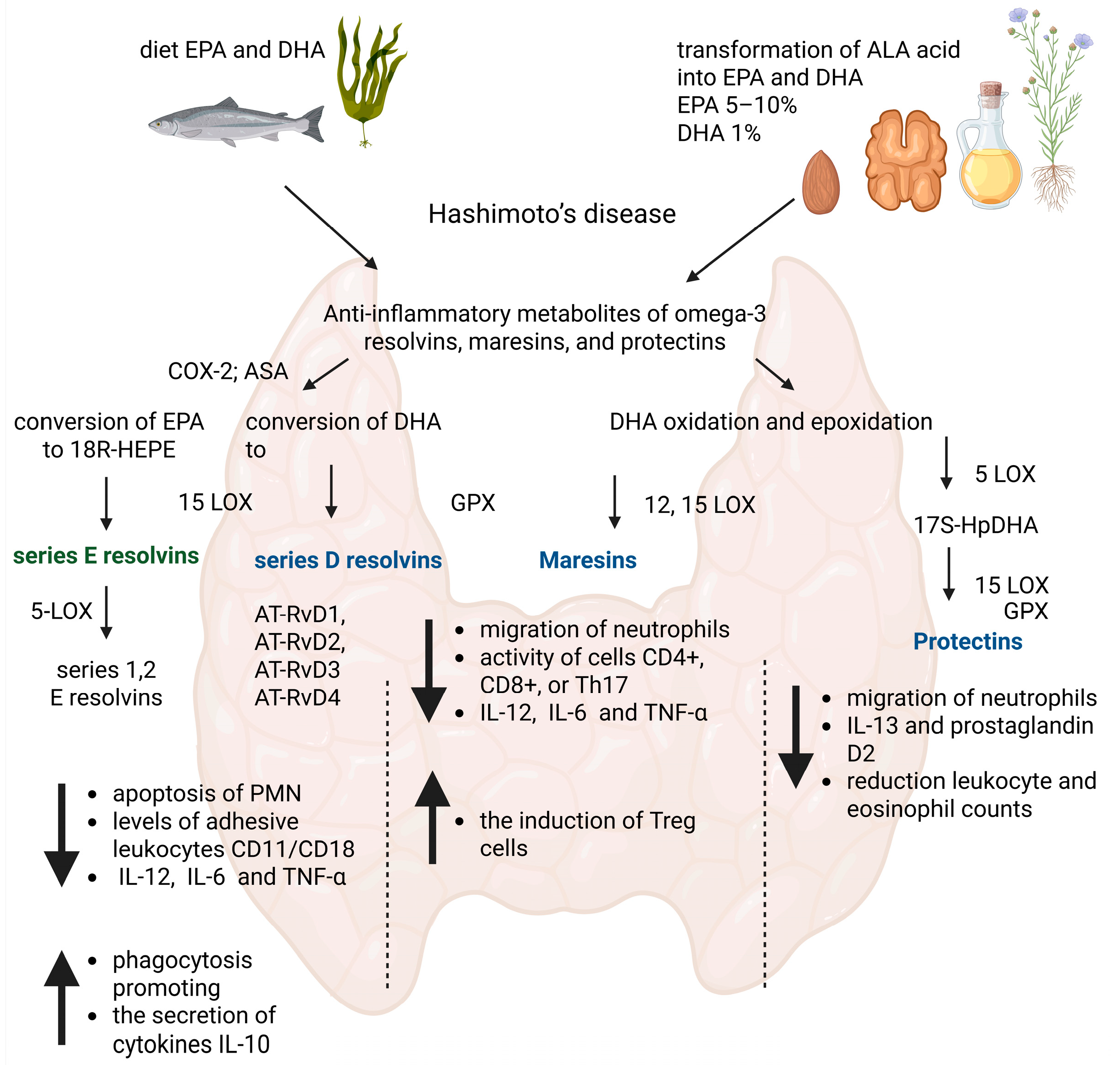Nutrients 17 01715 g001