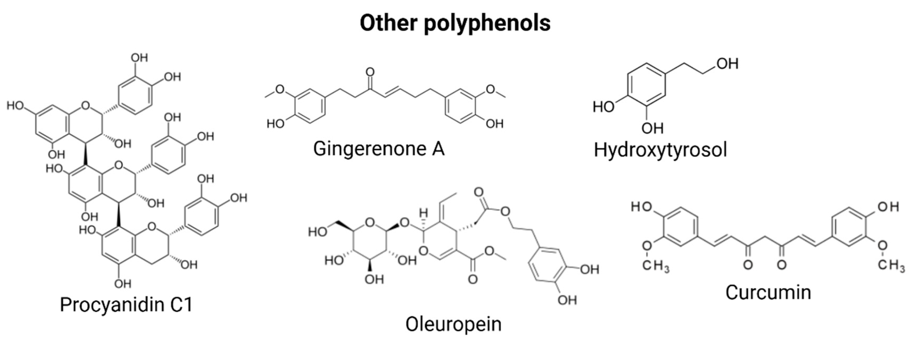 Nutrients 17 01716 g004