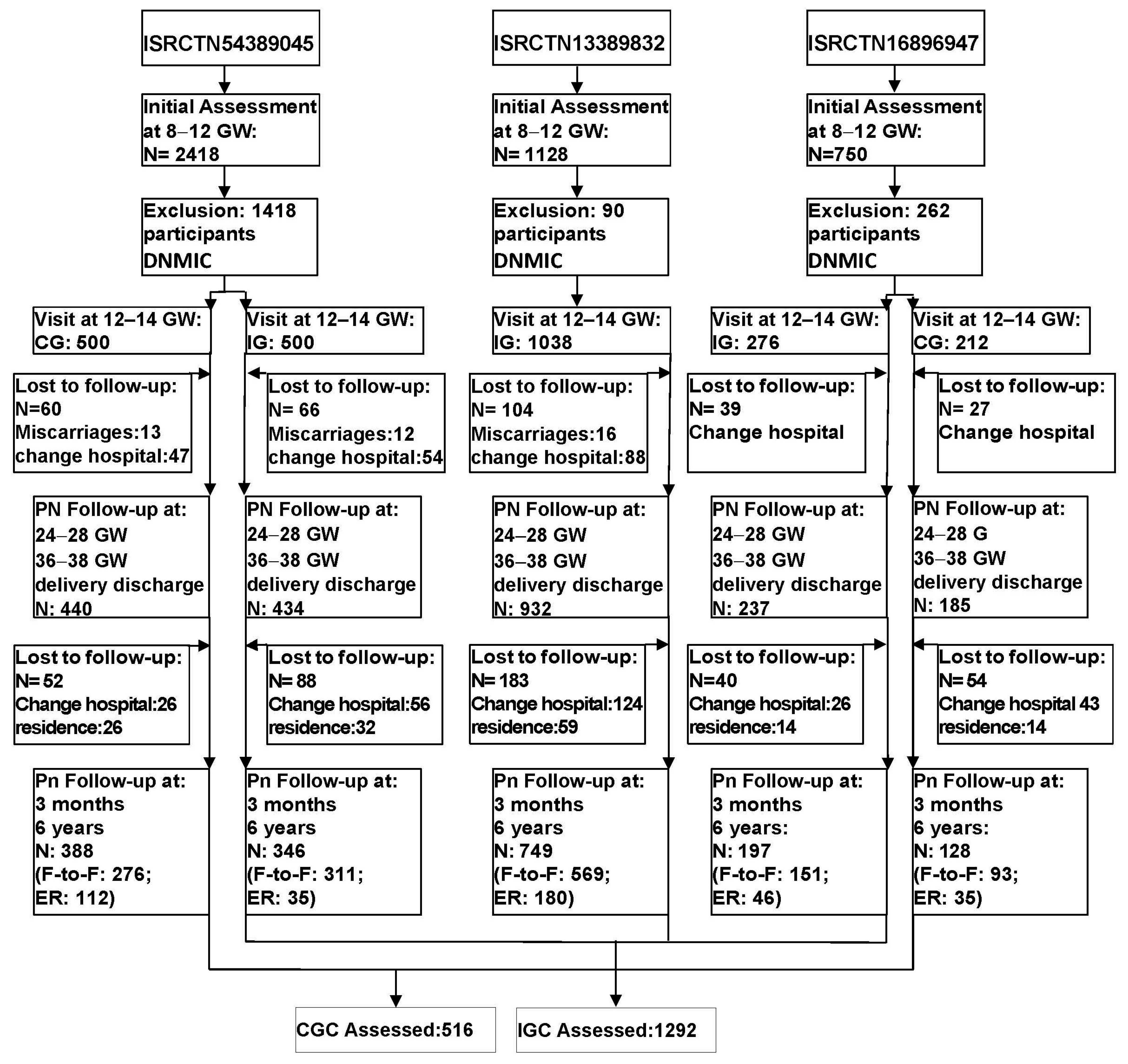 Nutrients 17 01719 g001