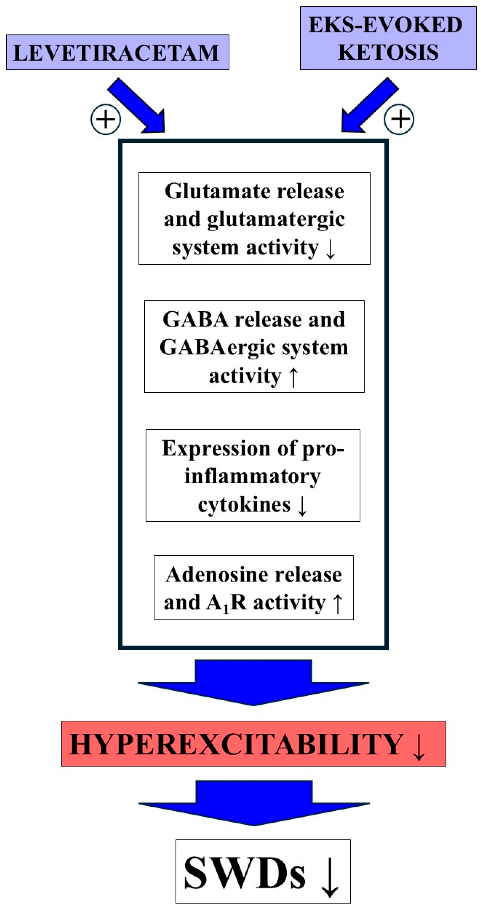 Nutrients 17 01721 g007