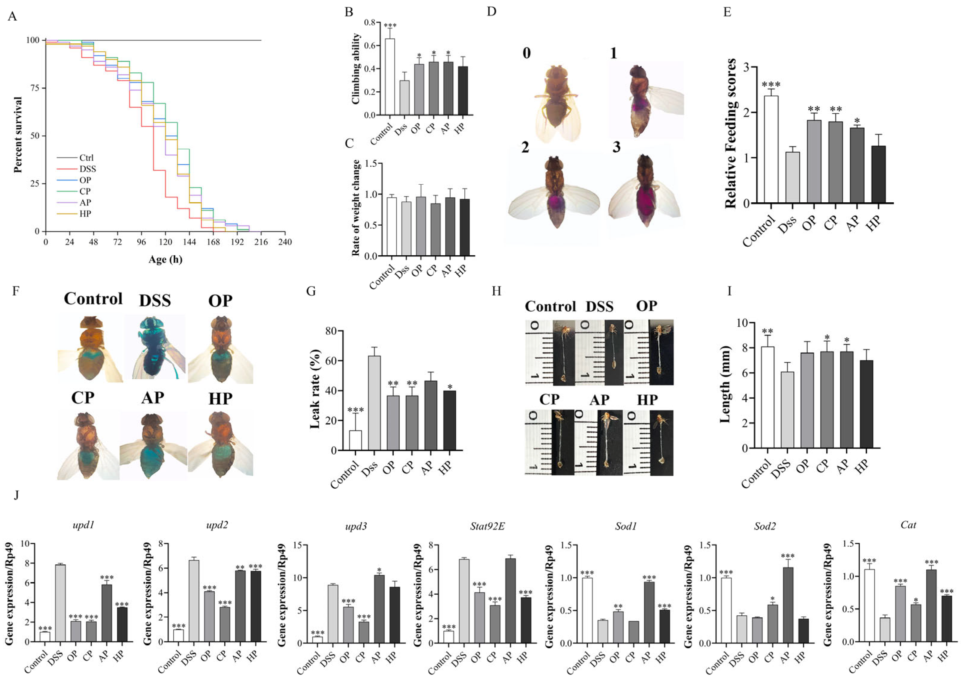 Nutrients 17 01738 g002