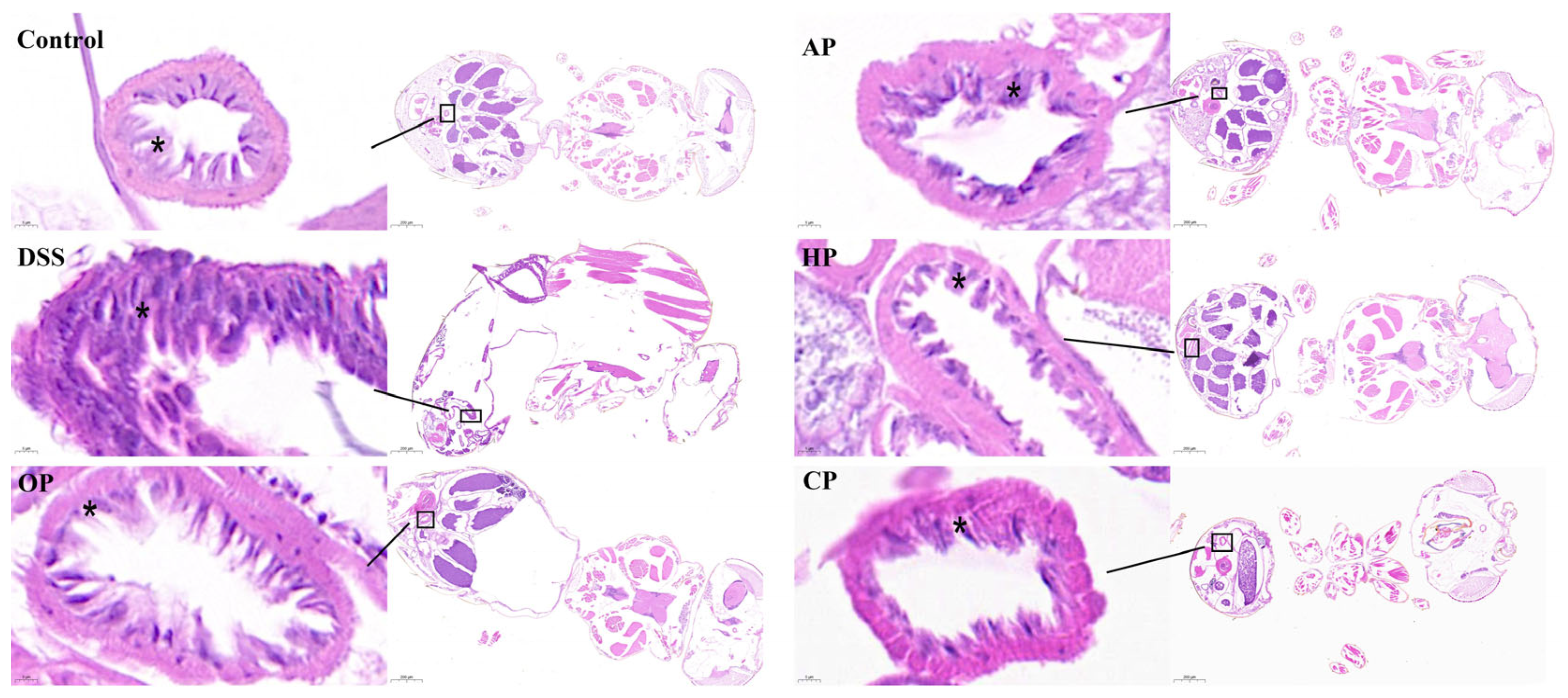 Nutrients 17 01738 g003