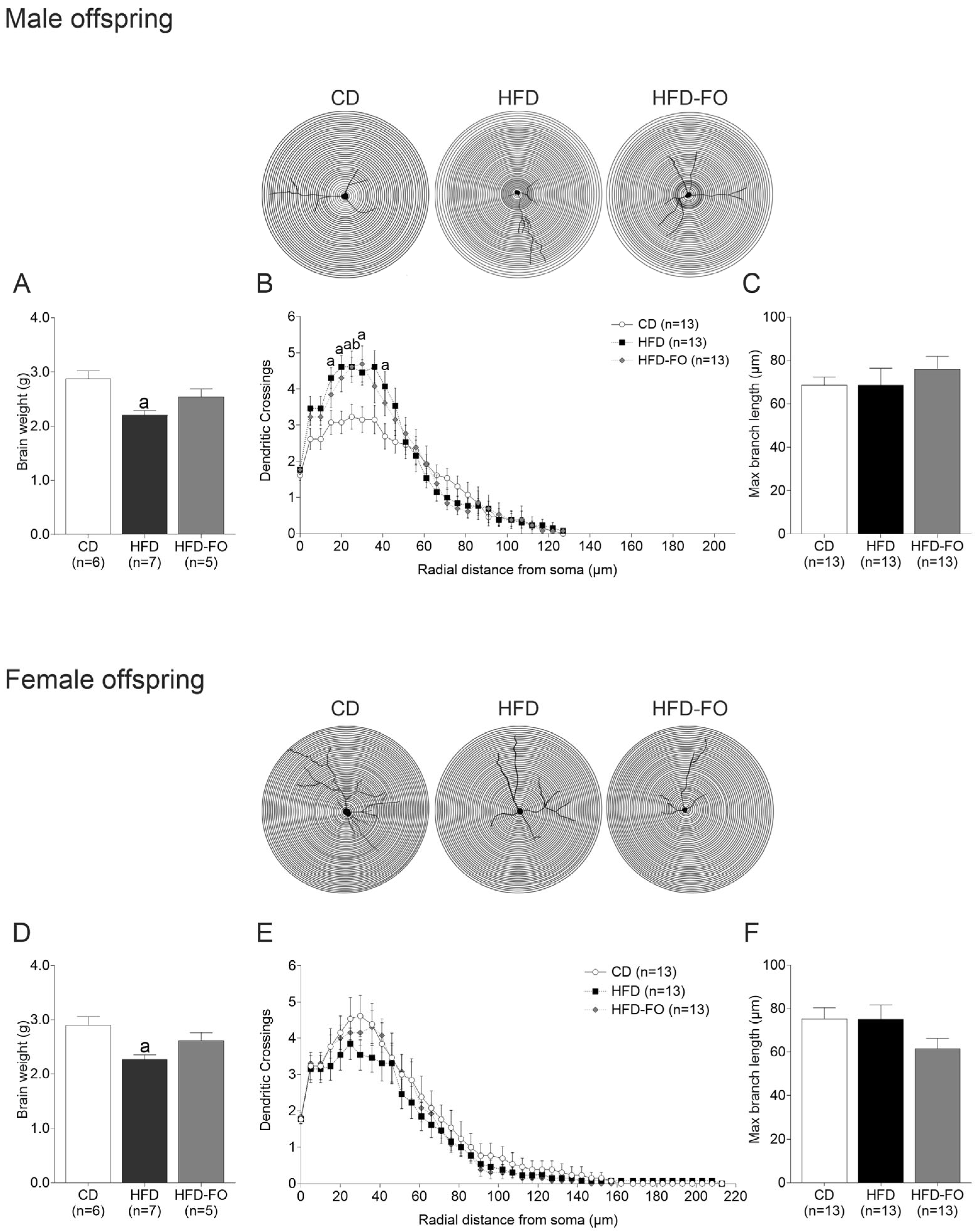 Nutrients 17 01741 g002