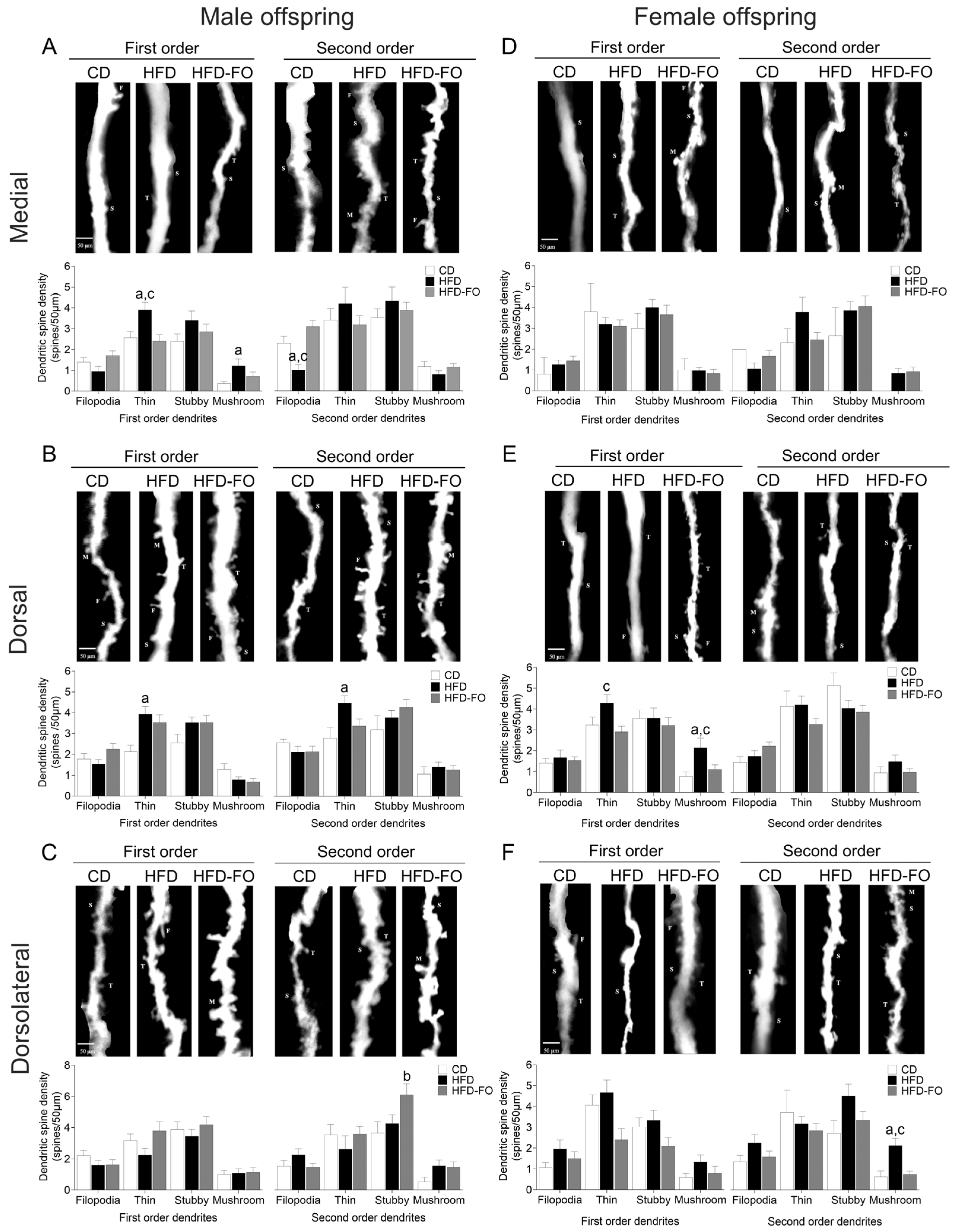 Nutrients 17 01741 g003