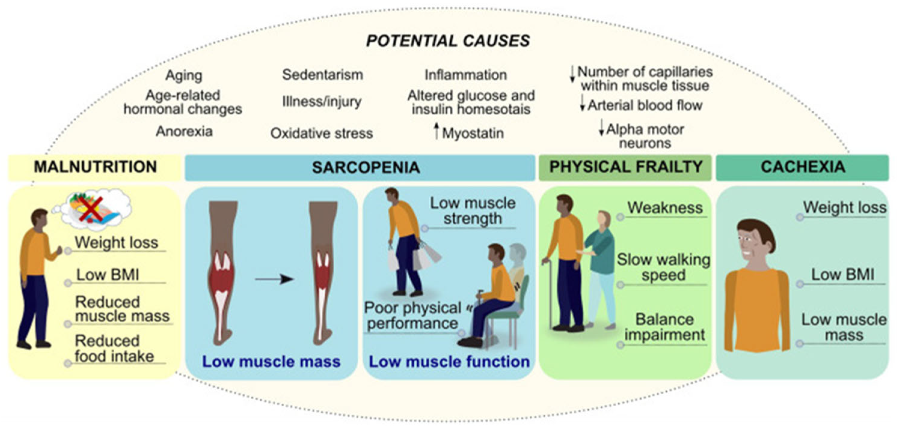 Nutrients 17 01743 g001 Nutrients 17 01743 g001