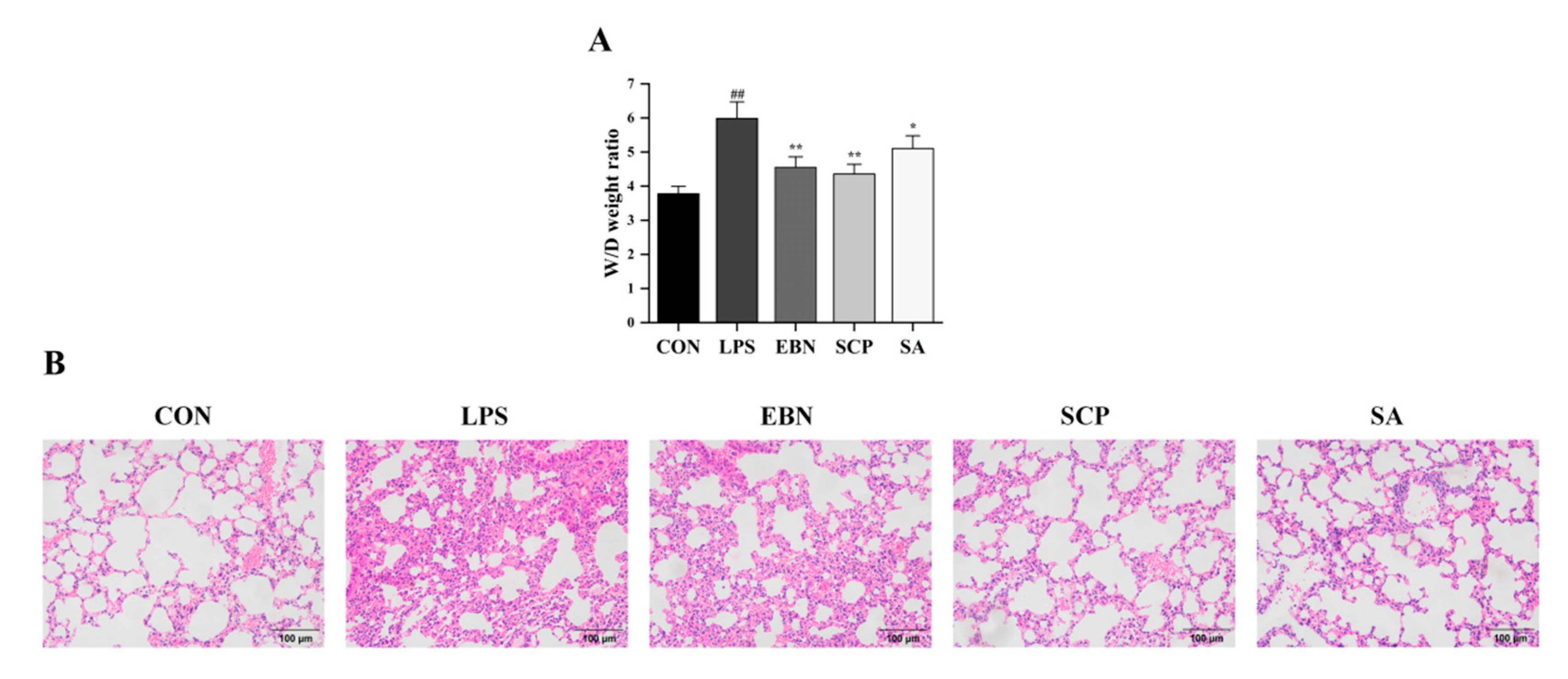 Nutrients 17 01745 g005
