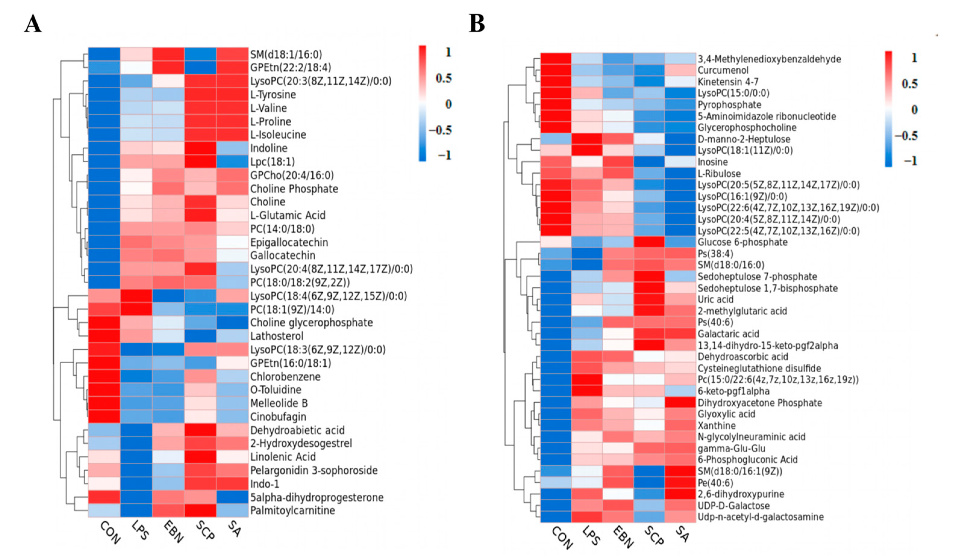 Nutrients 17 01745 g007
