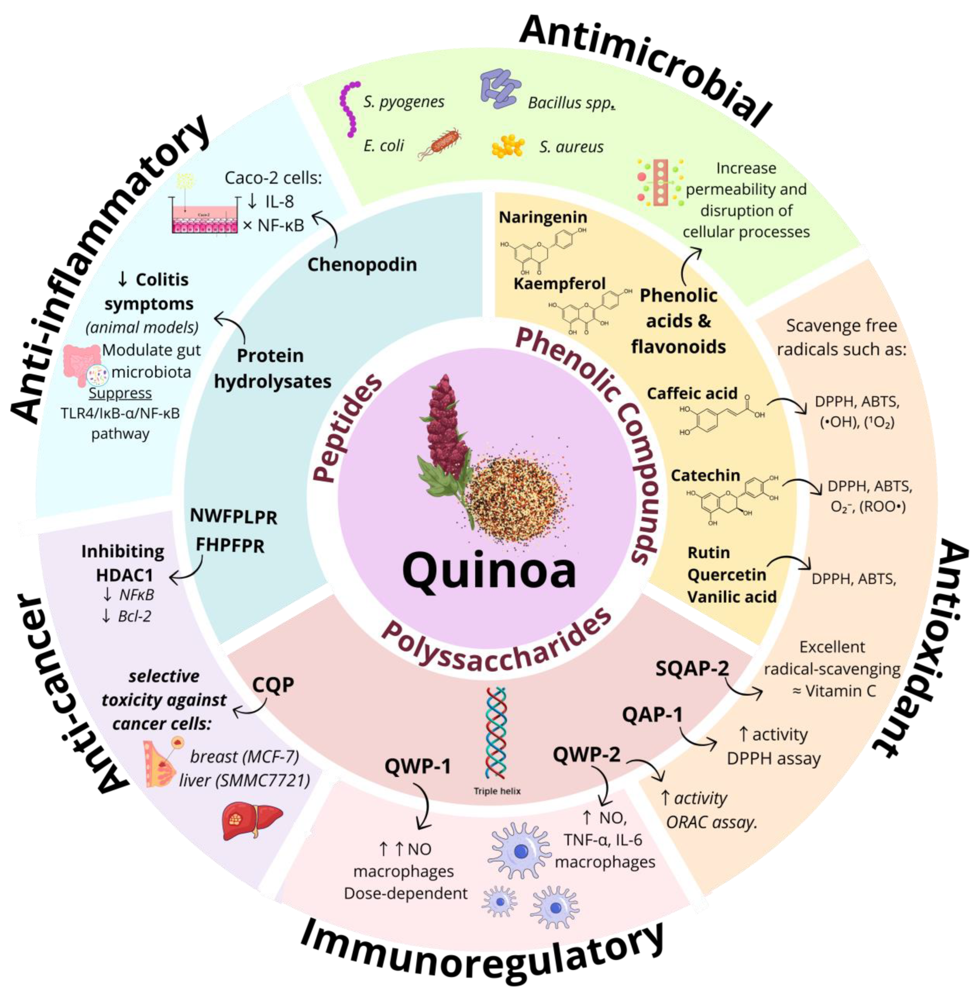 Nutrients 17 01749 g002 Nutrients 17 01749 g002