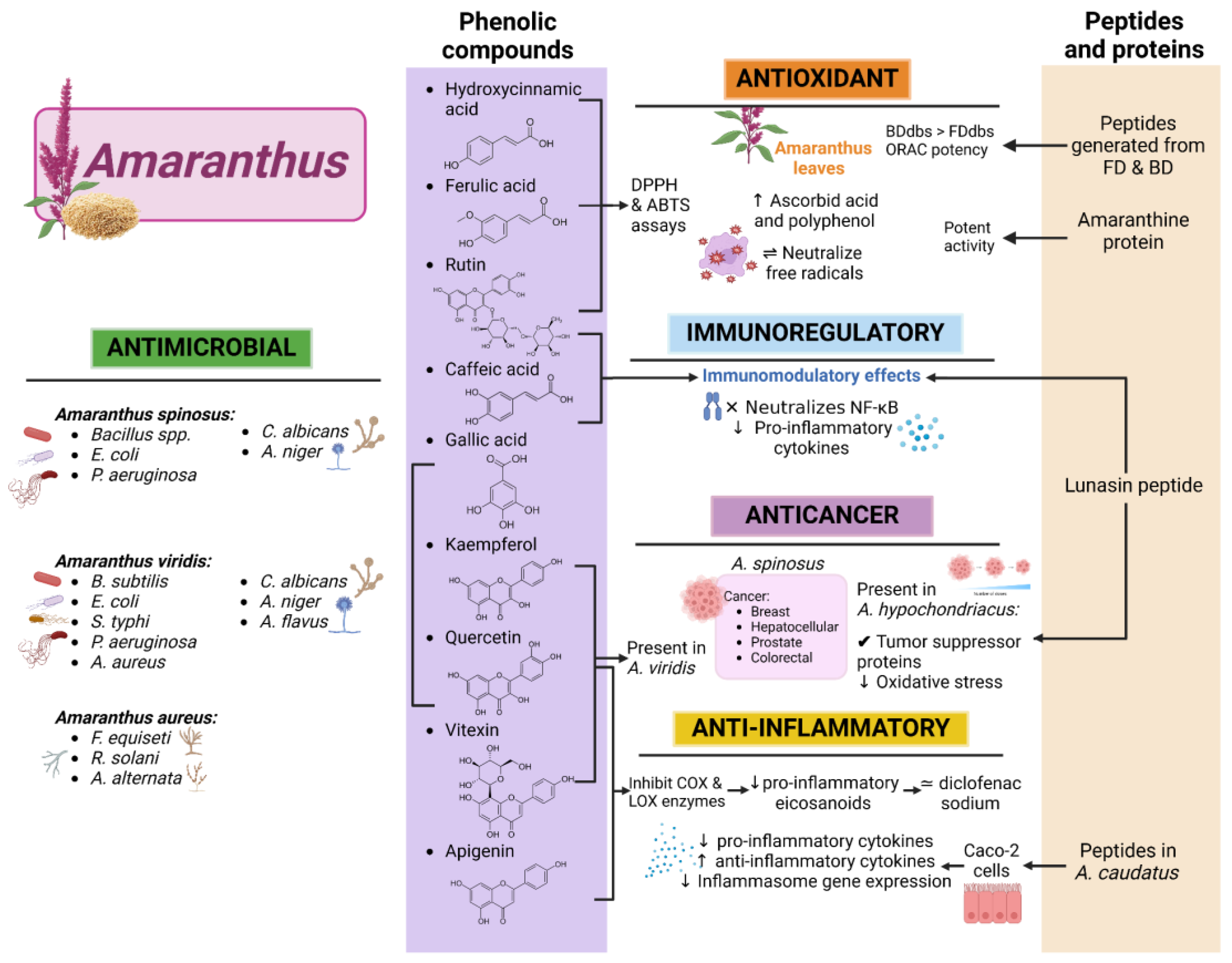 Nutrients 17 01749 g003 Nutrients 17 01749 g003