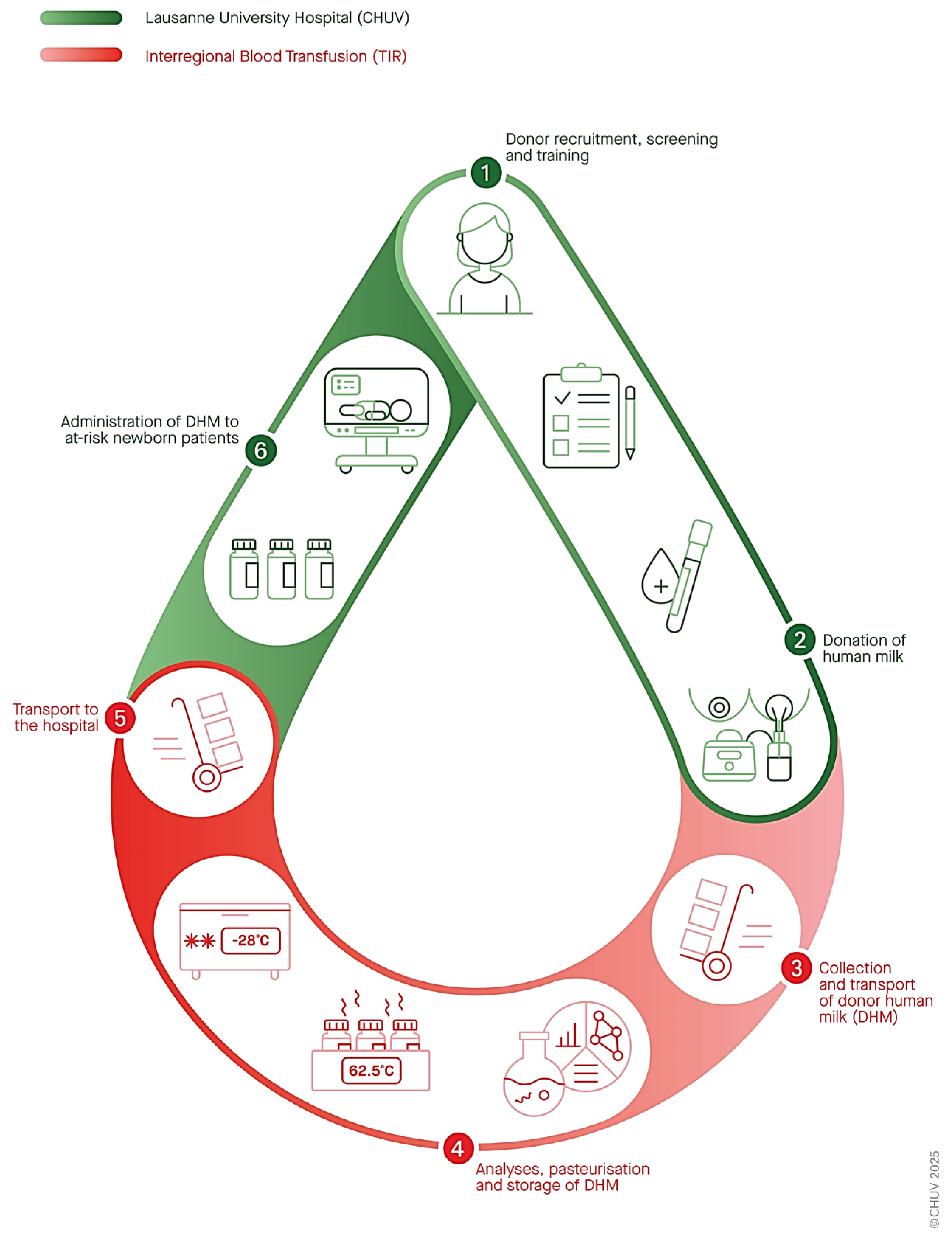 Nutrients 17 01765 g002