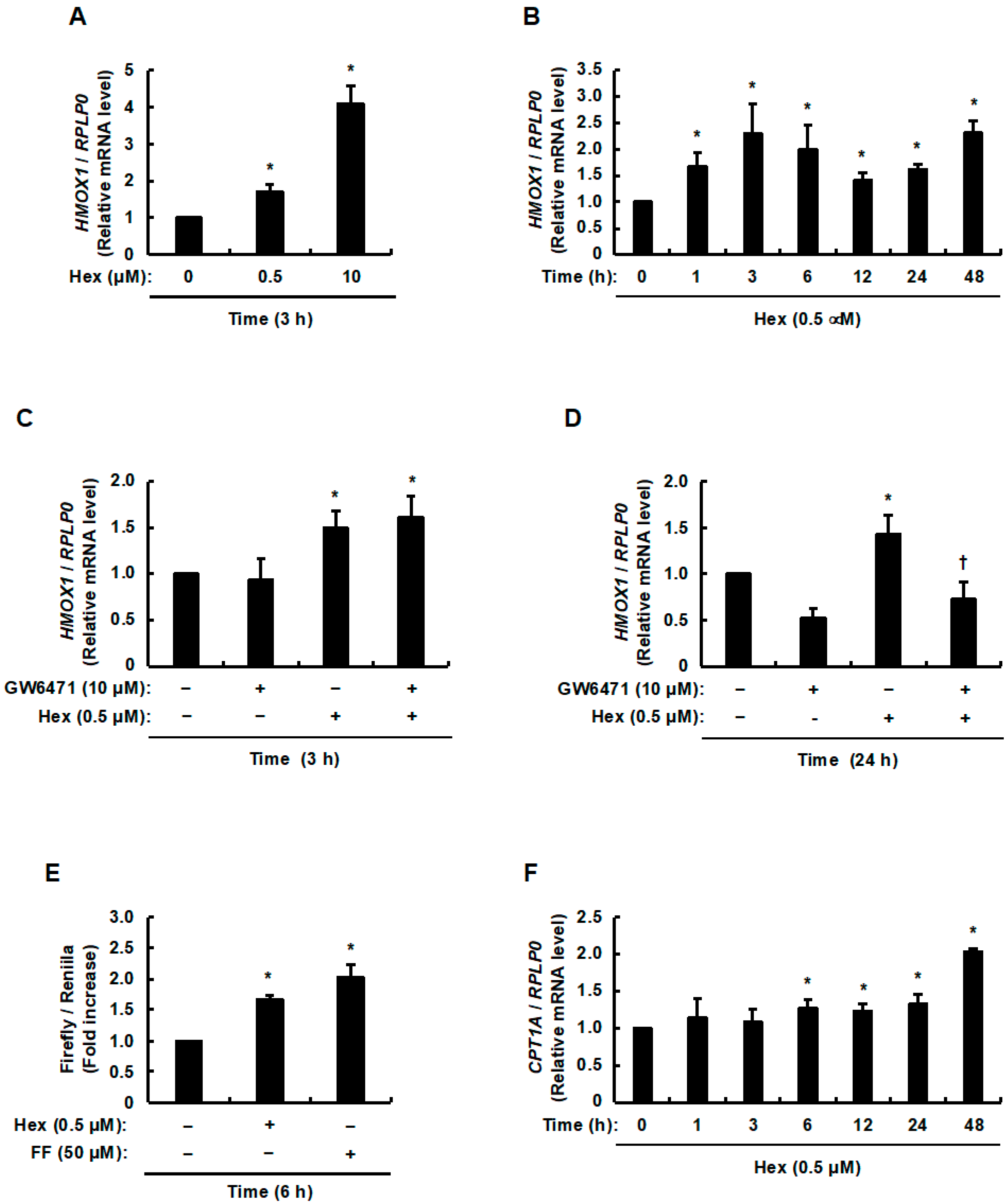 Nutrients 17 01768 g001