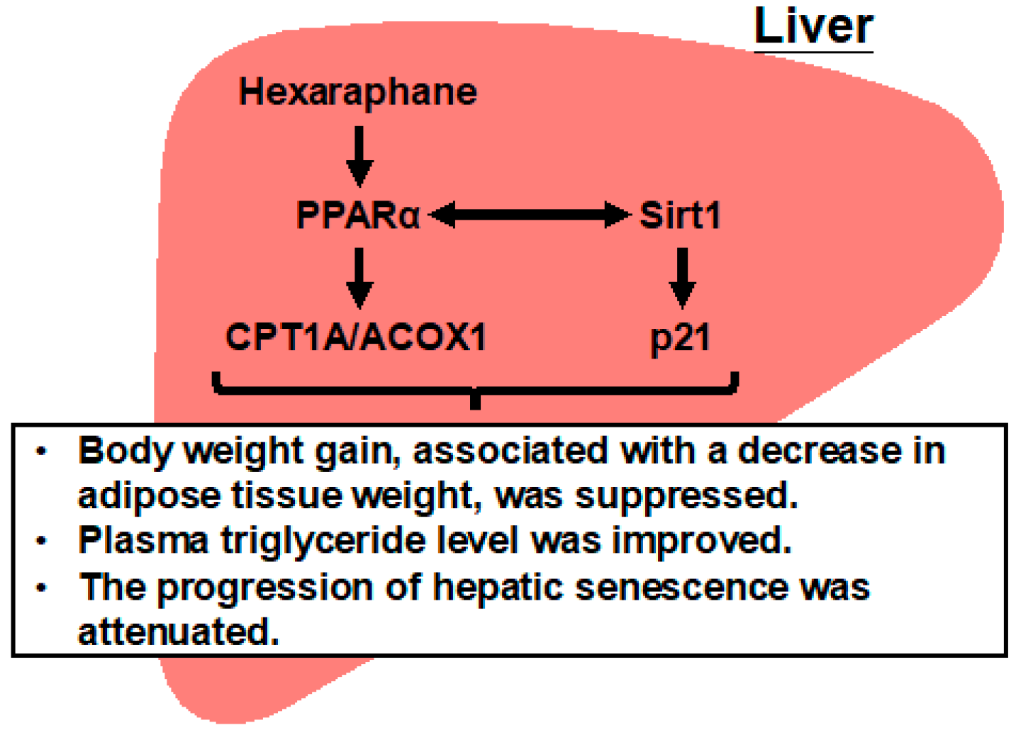 Nutrients 17 01768 g009