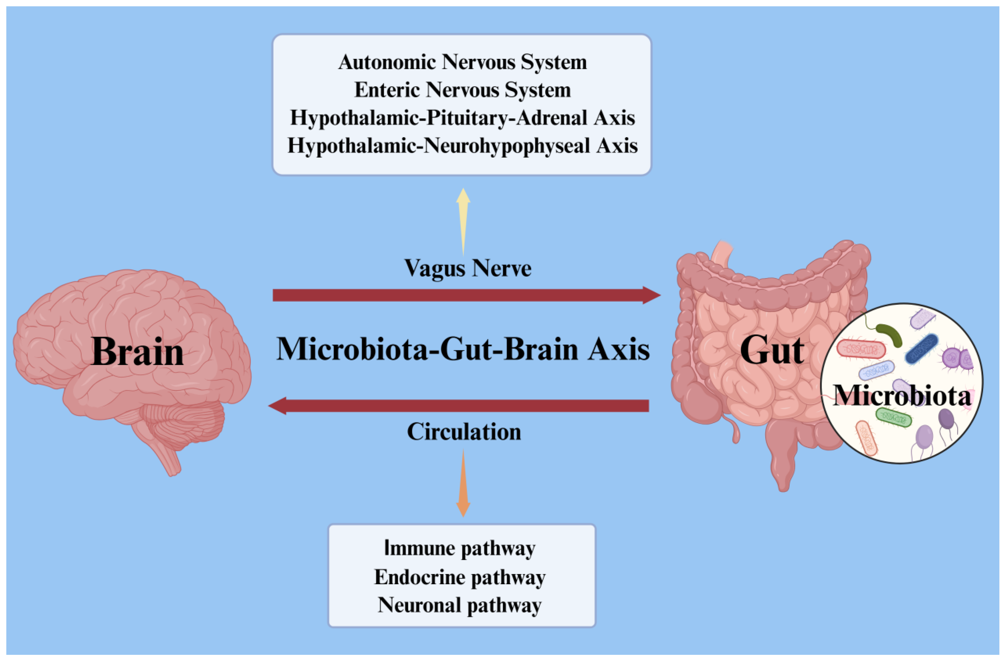 Nutrients 17 01769 g001 Nutrients 17 01769 g001