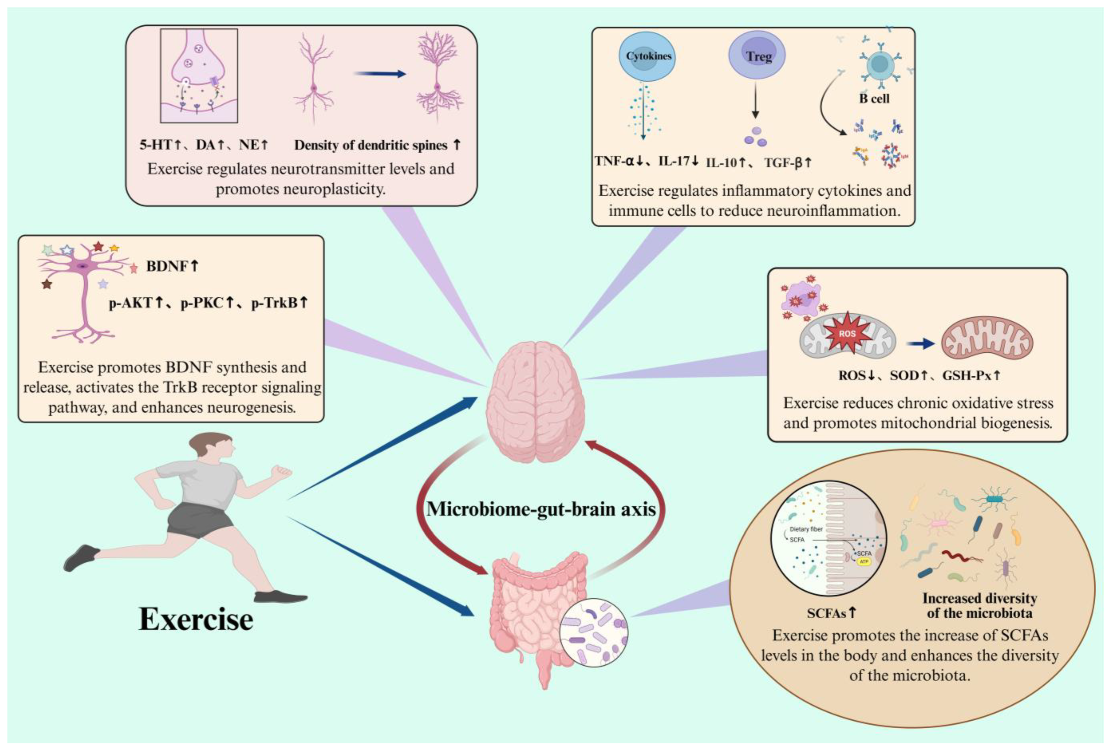 Nutrients 17 01769 g003 Nutrients 17 01769 g003