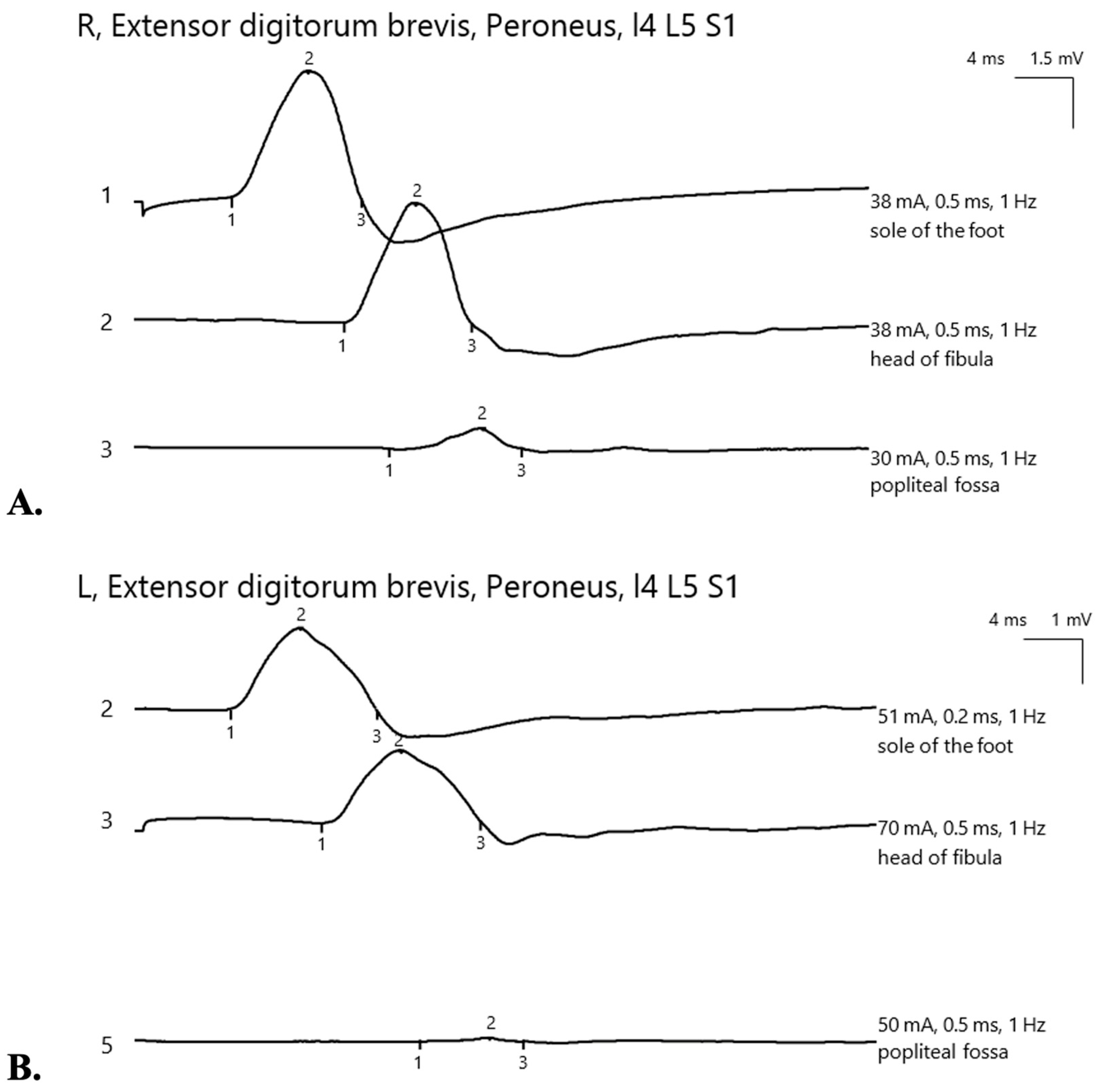 Nutrients 17 01782 g002