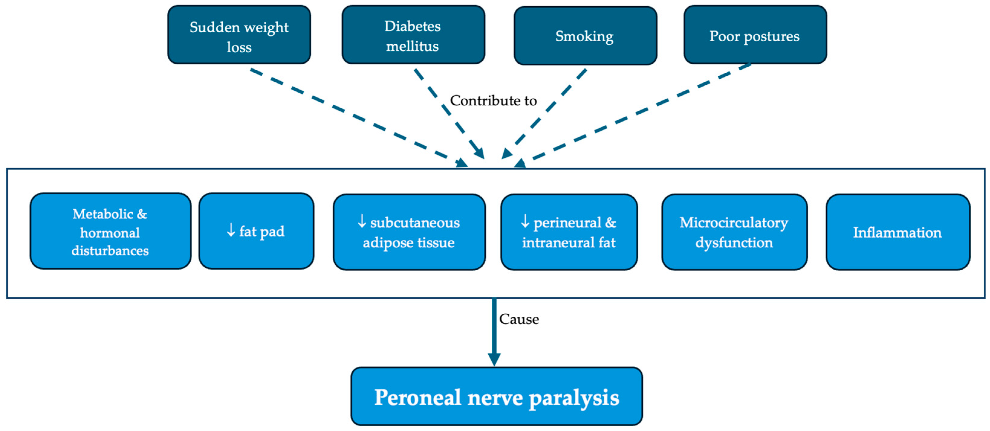 Nutrients 17 01782 g005