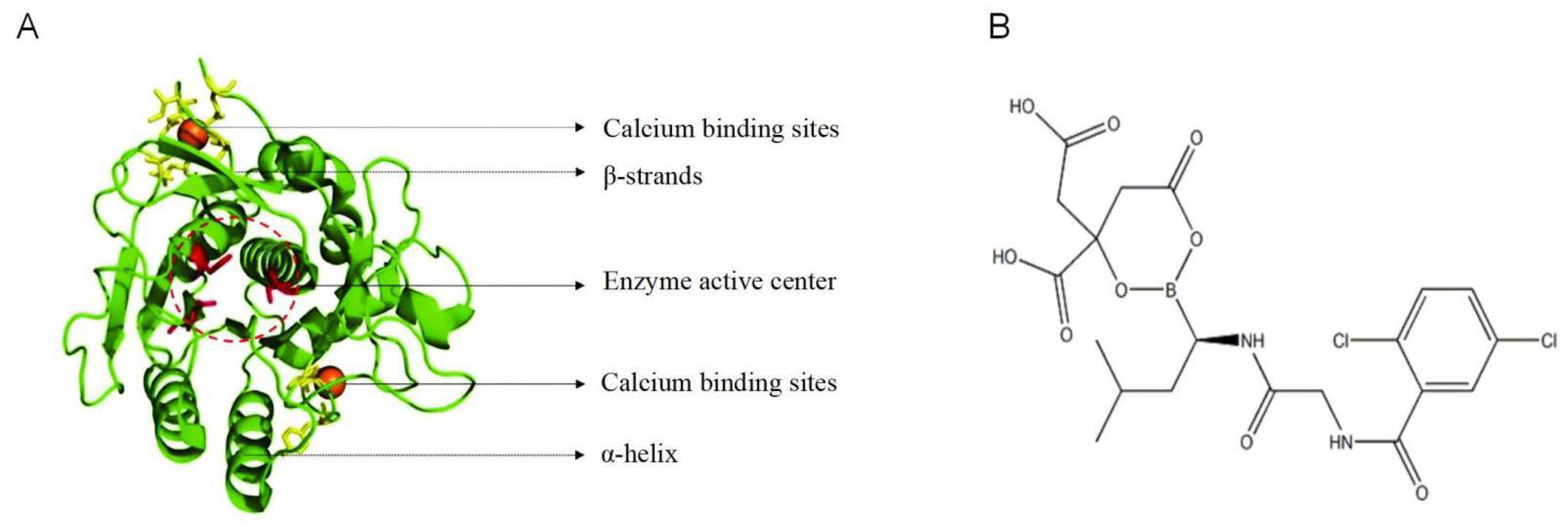 Nutrients 17 01784 g001