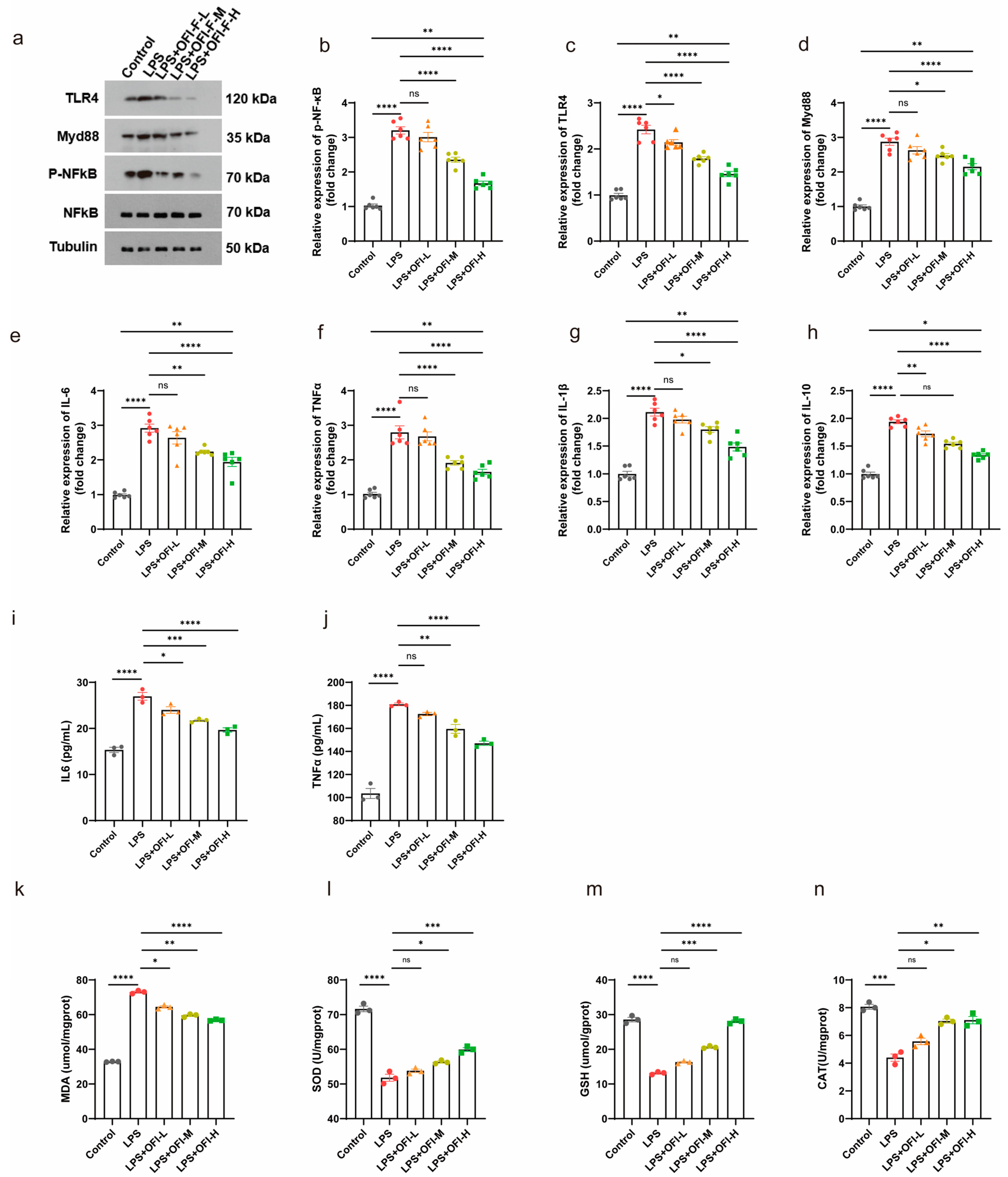 Nutrients 17 01800 g001