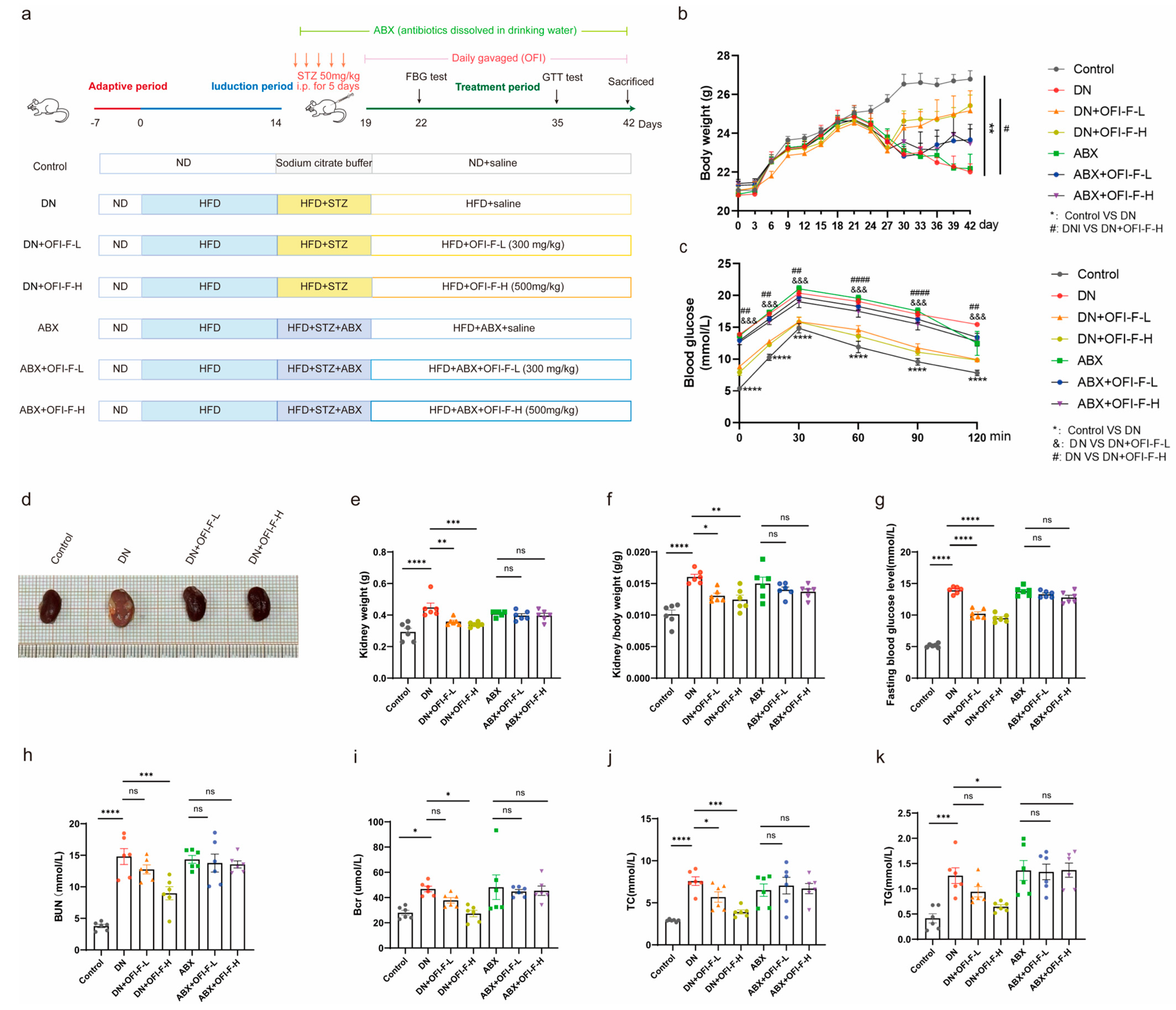 Nutrients 17 01800 g002