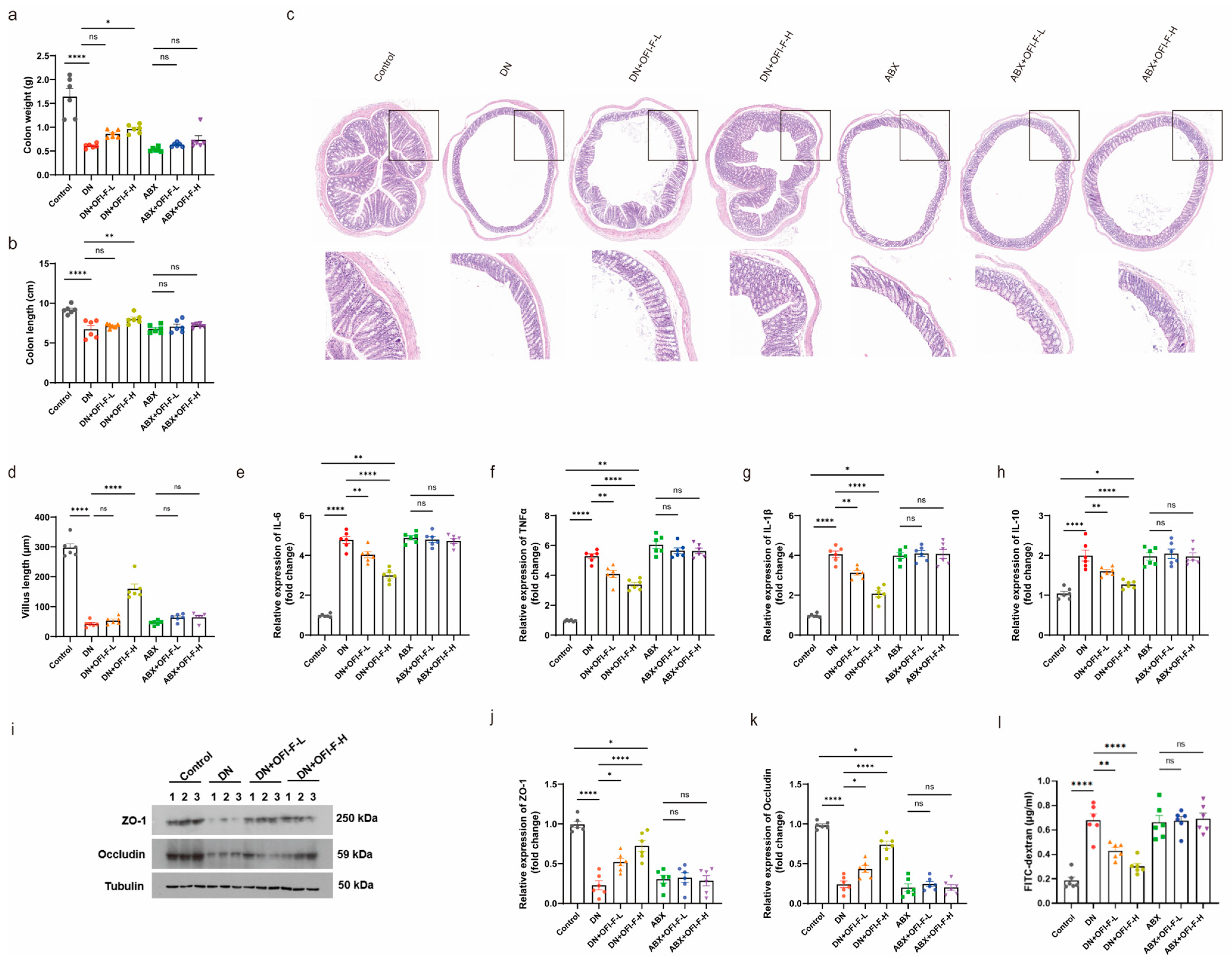 Nutrients 17 01800 g006
