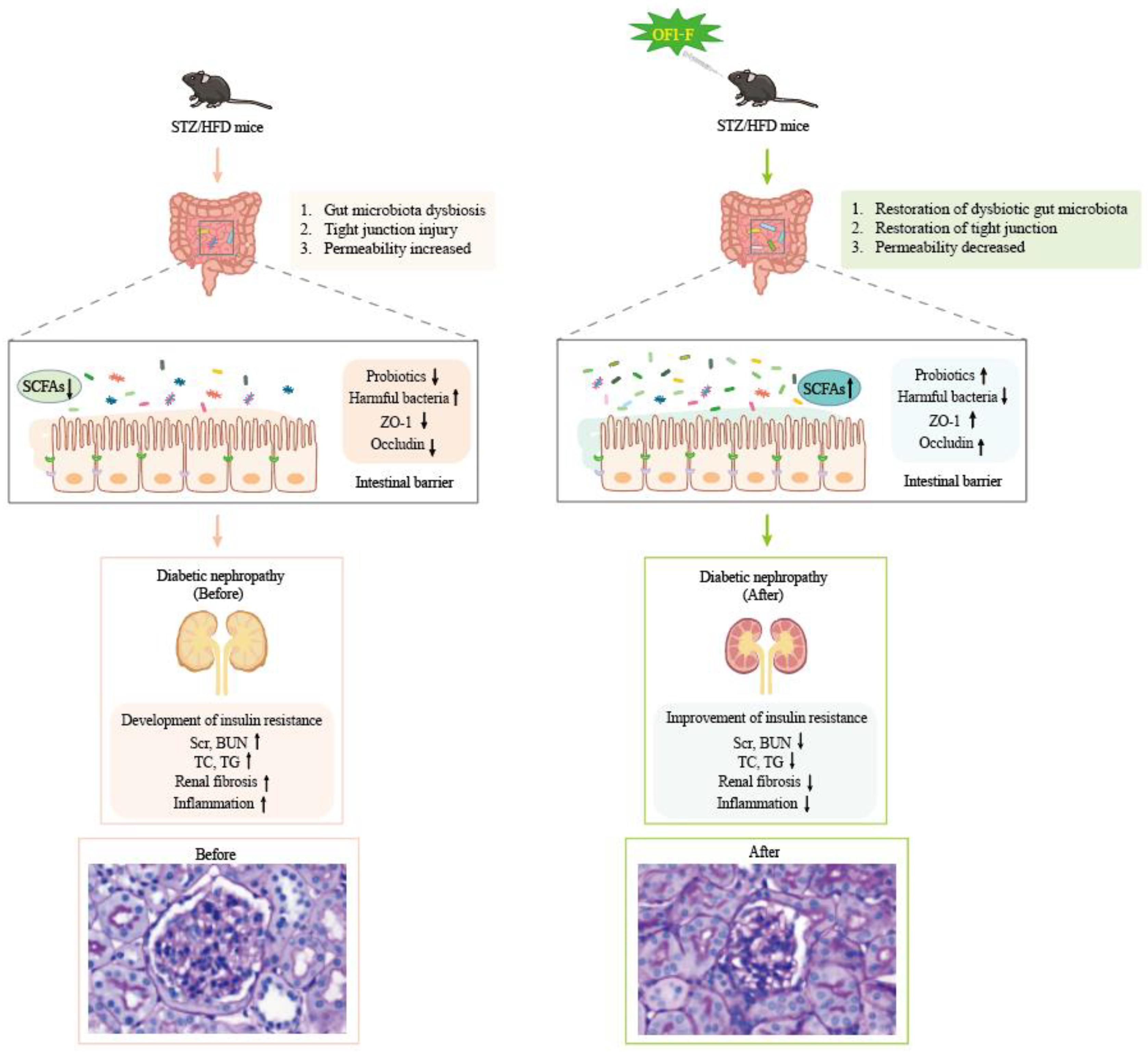Nutrients 17 01800 g007