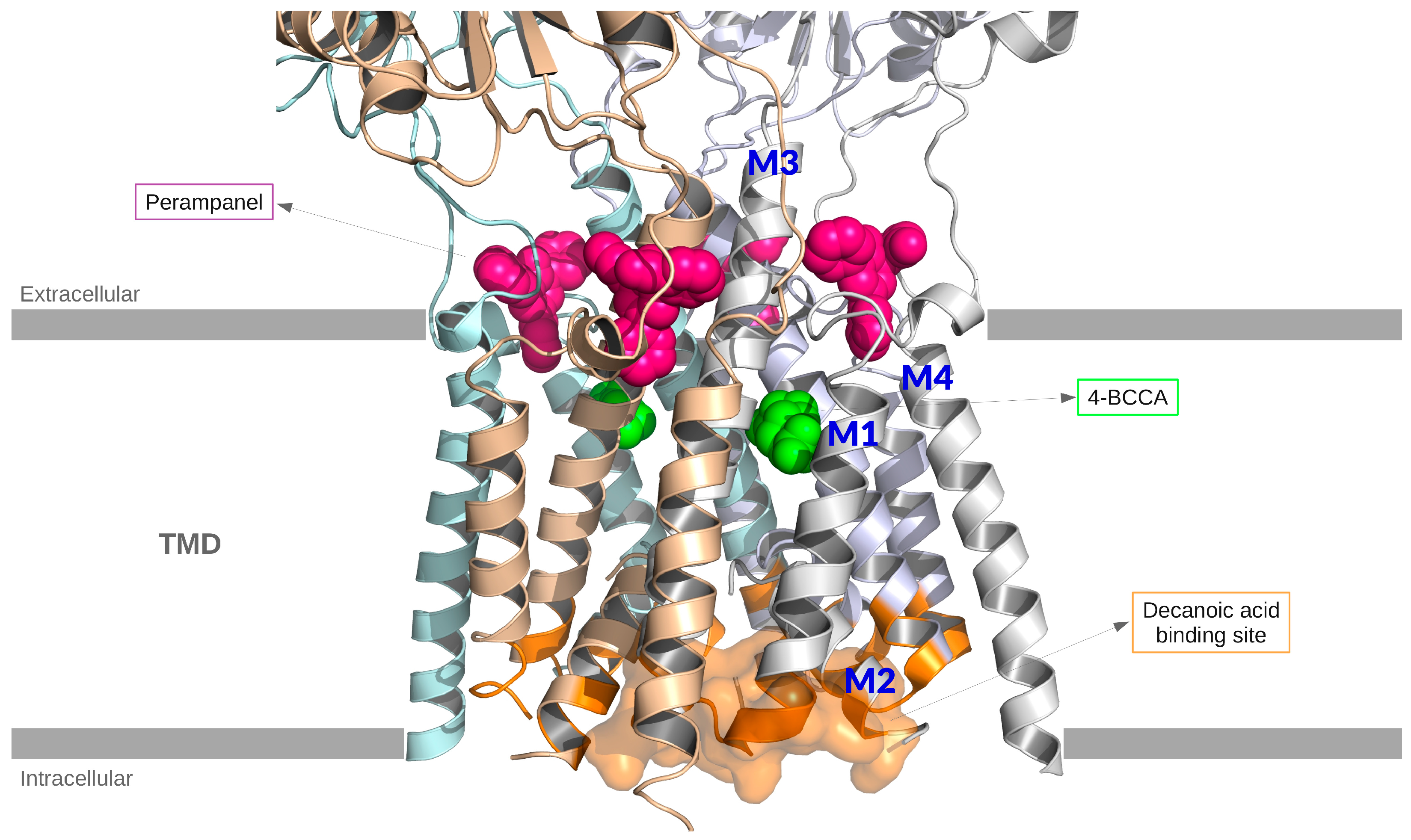 Nutrients 17 01805 g002