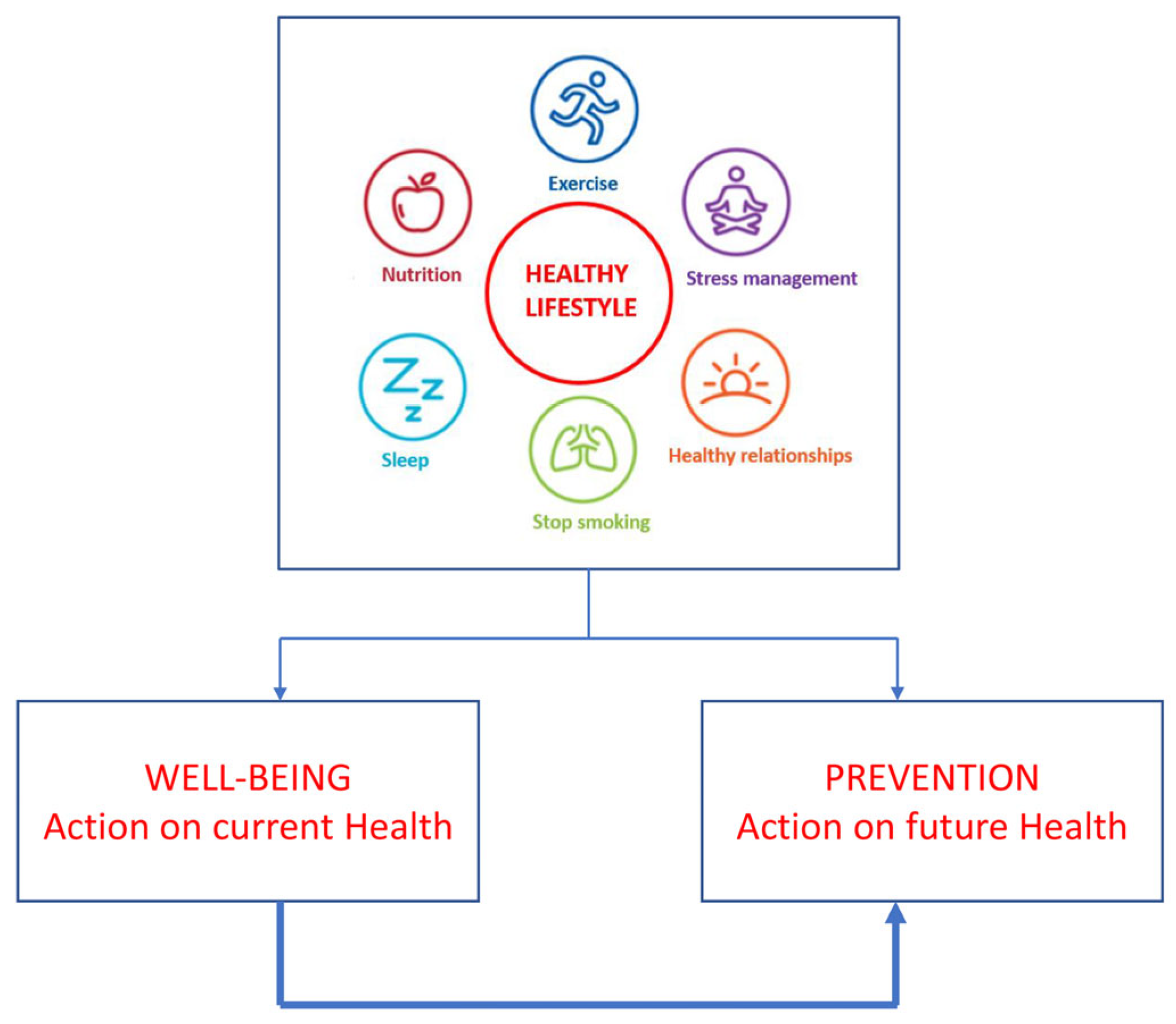 Nutrients 17 01819 g001