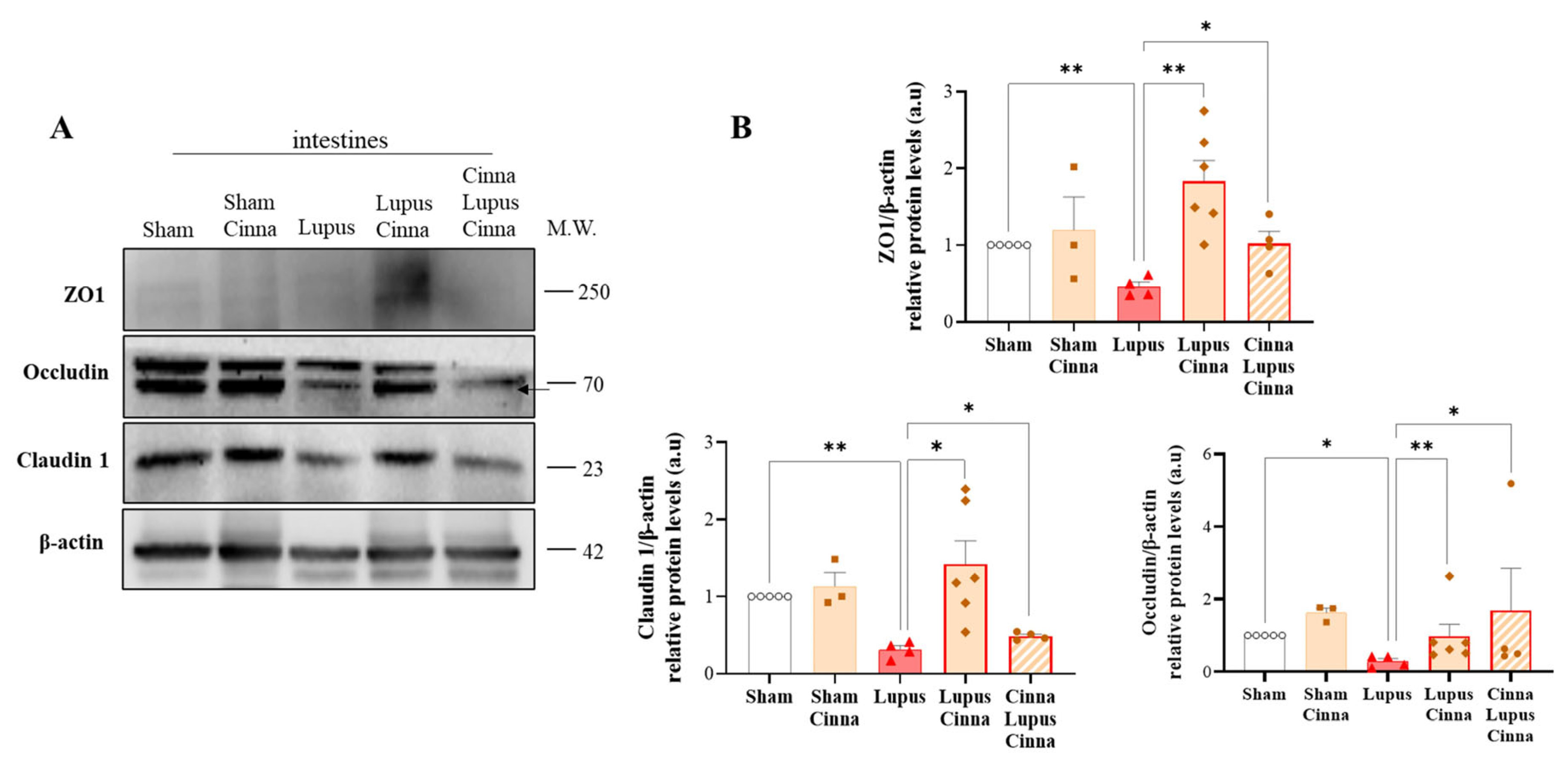 Nutrients 17 01820 g002