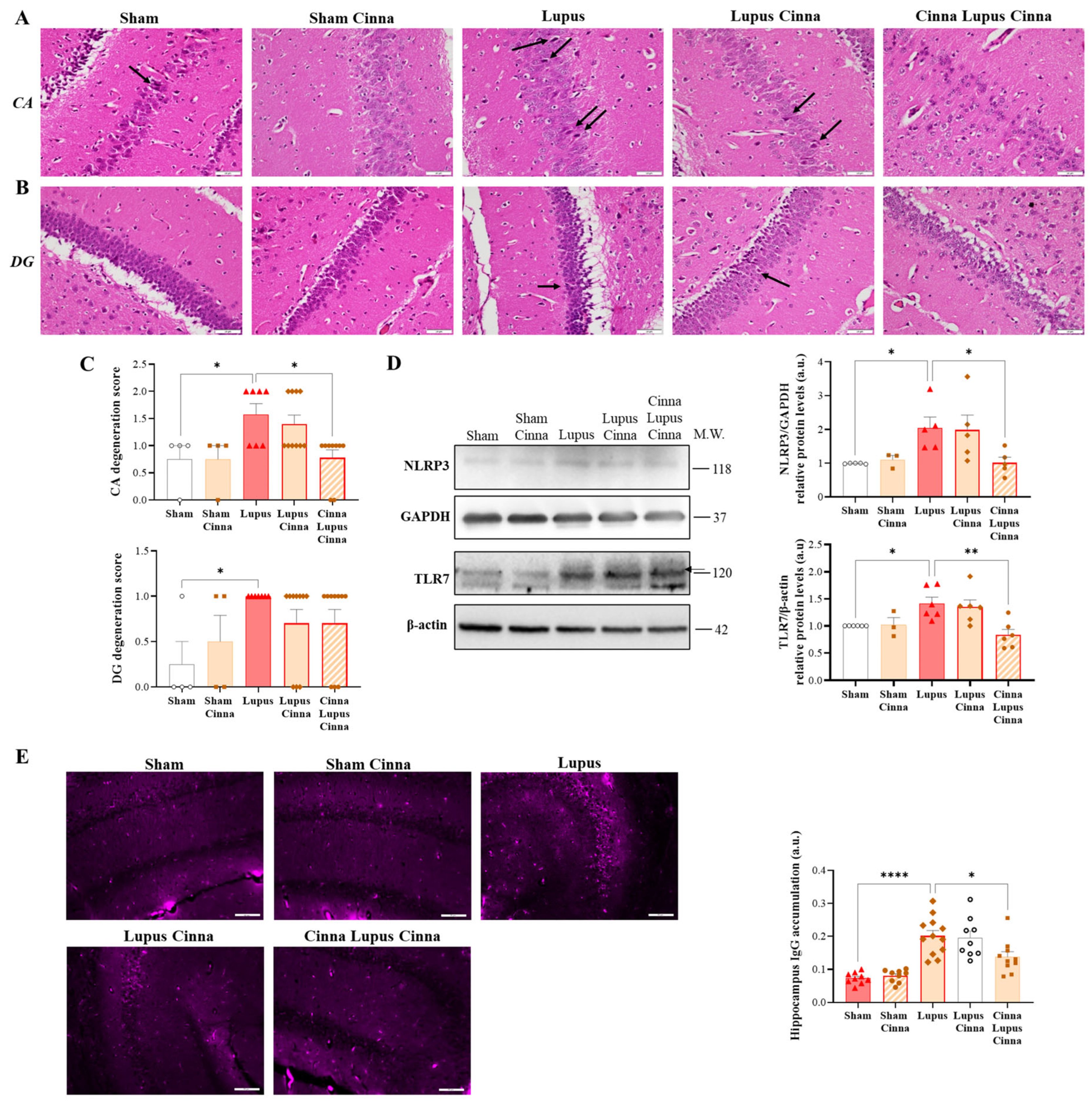 Nutrients 17 01820 g003