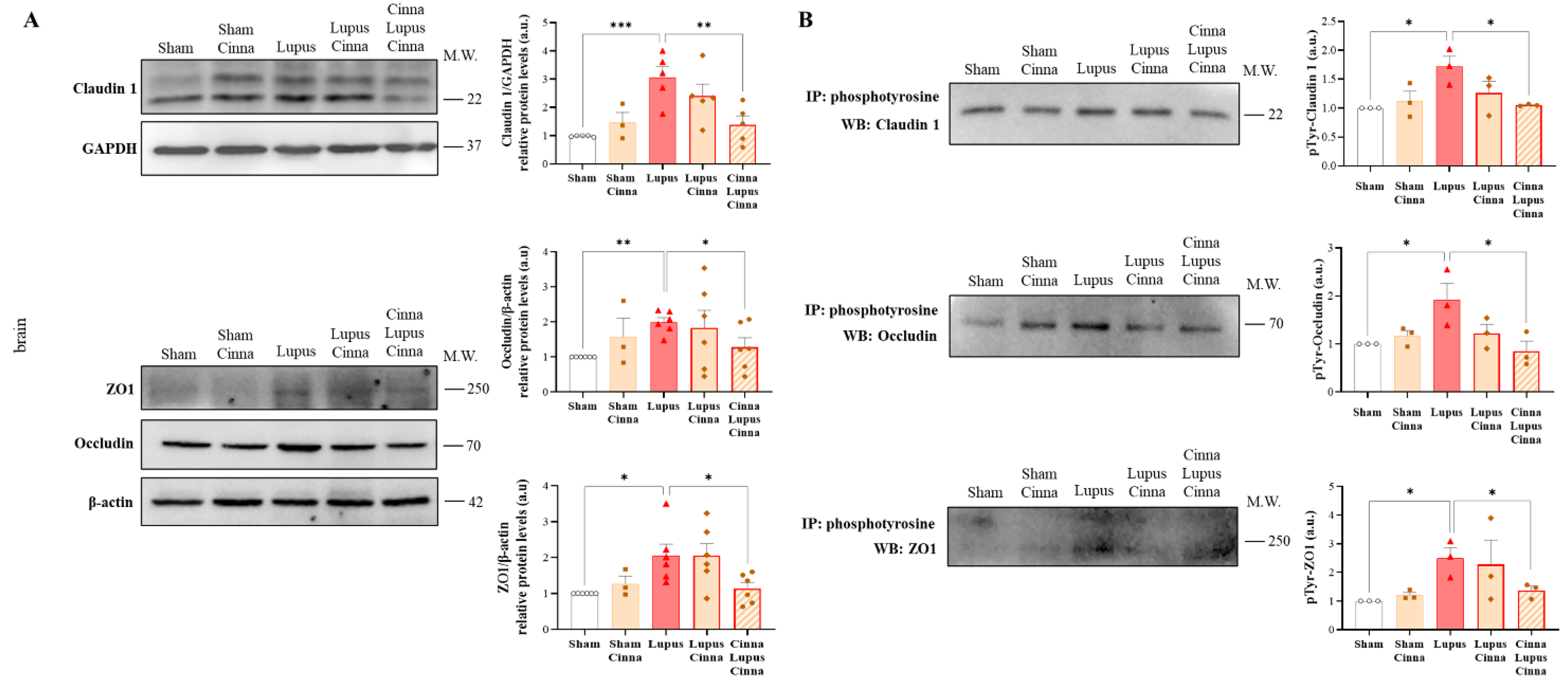 Nutrients 17 01820 g005