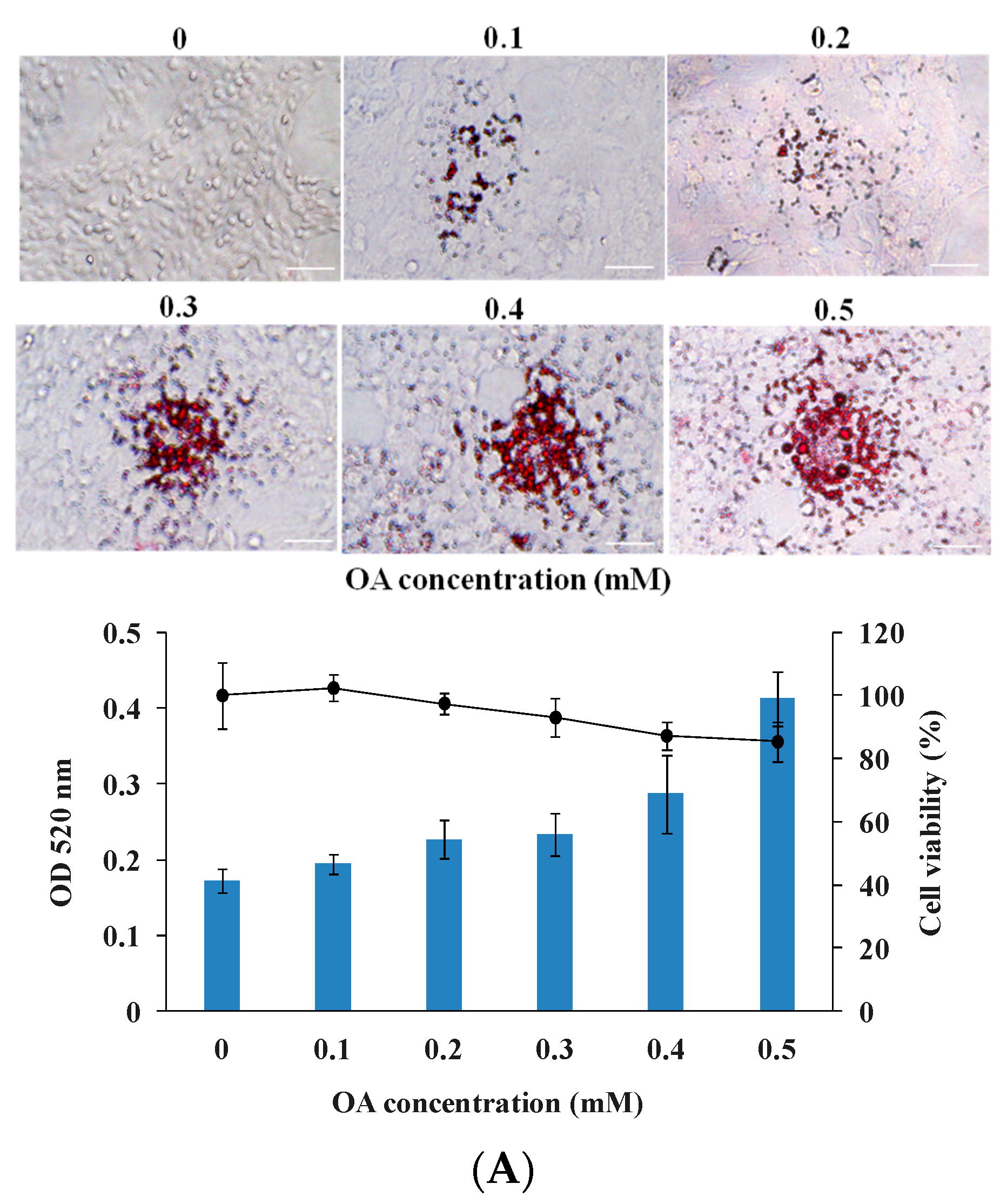 Nutrients 17 01835 g001a