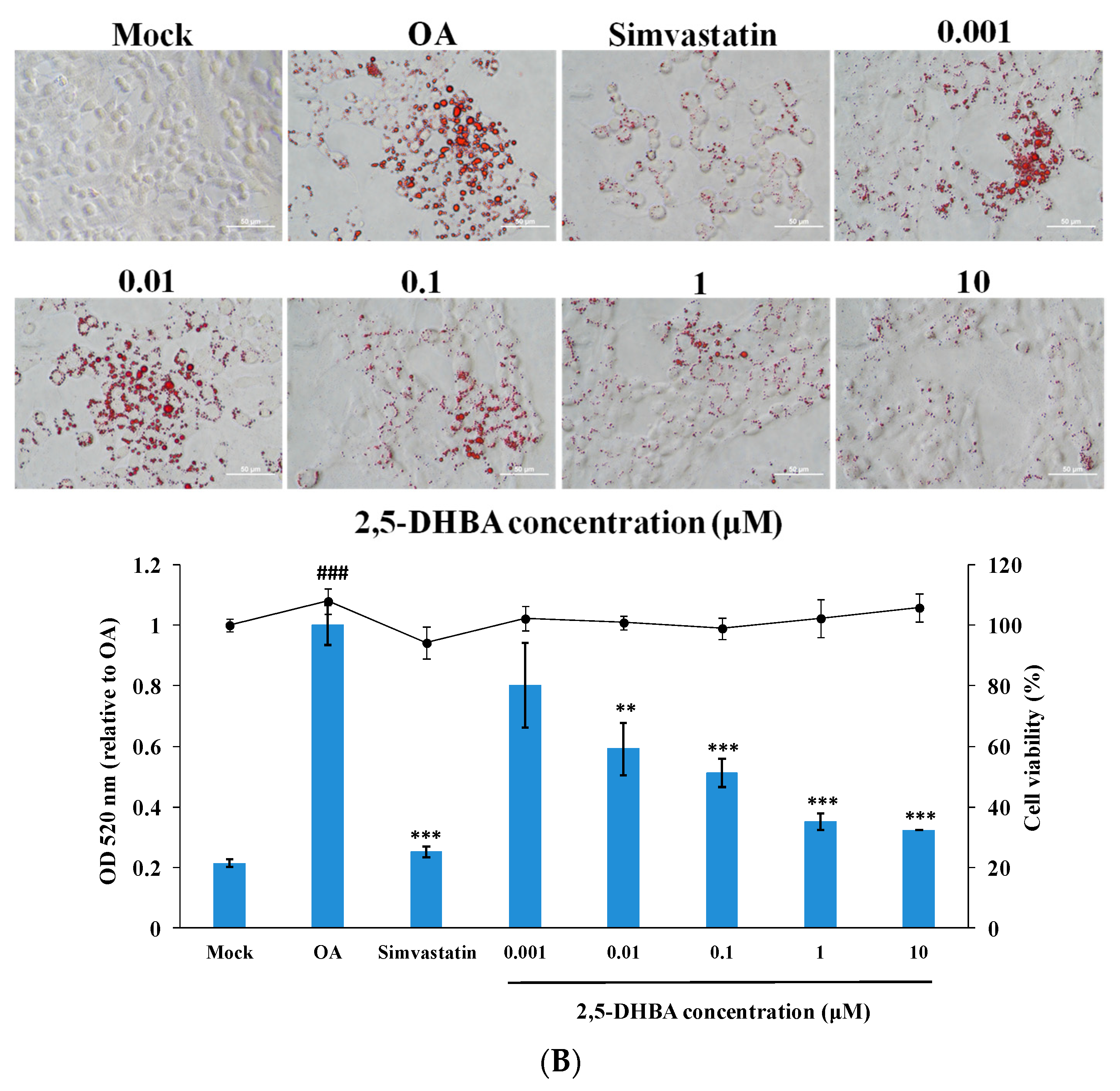 Nutrients 17 01835 g001b