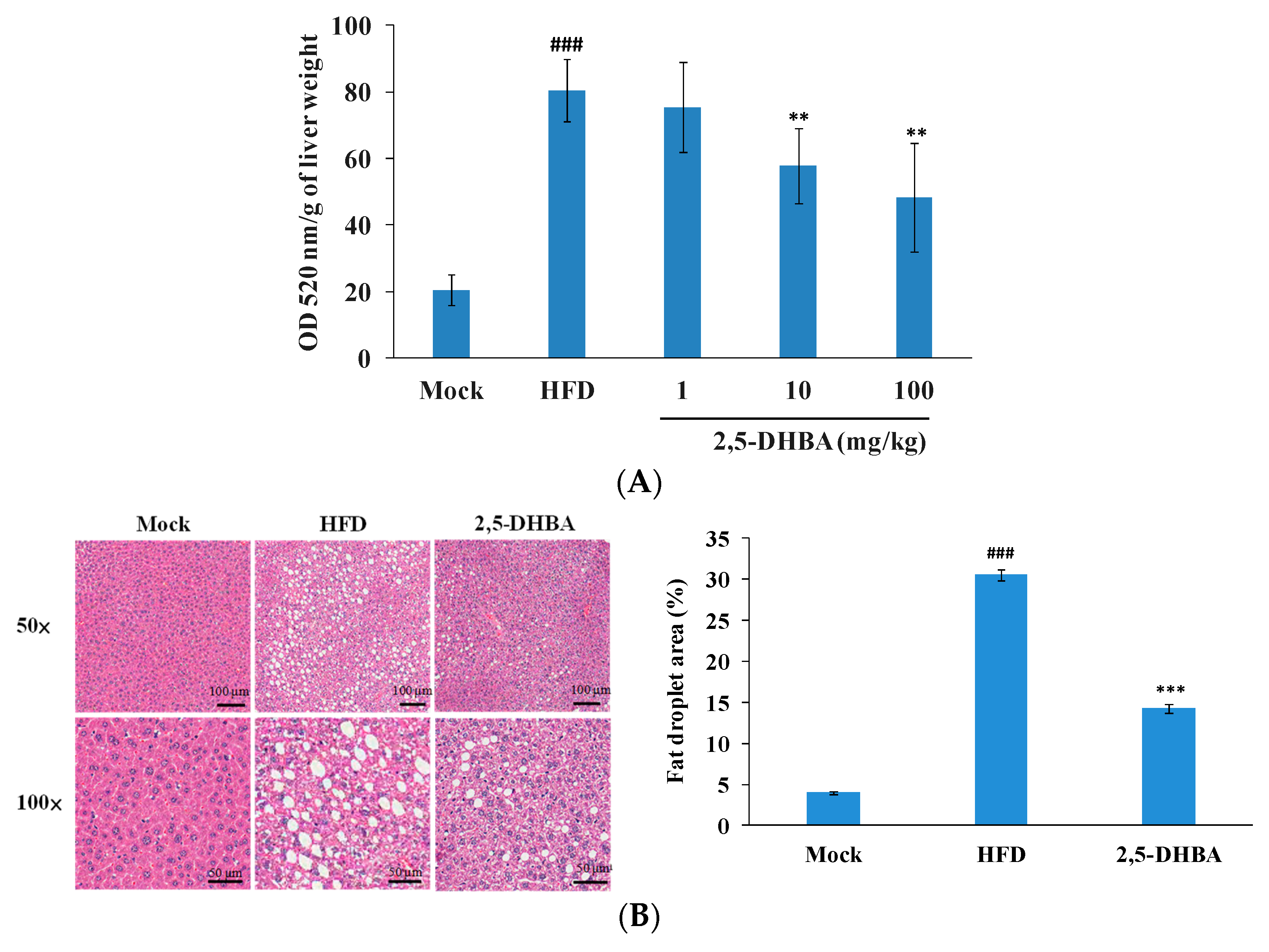 Nutrients 17 01835 g002
