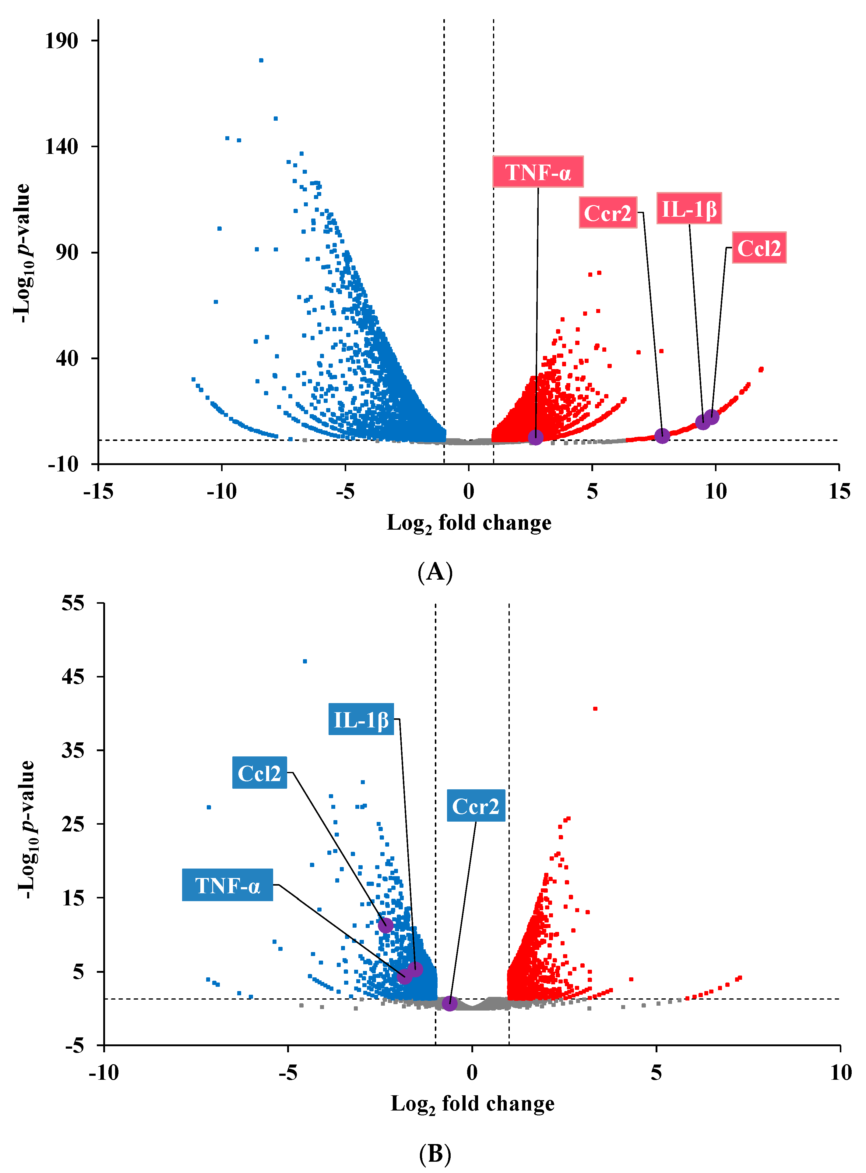 Nutrients 17 01835 g003