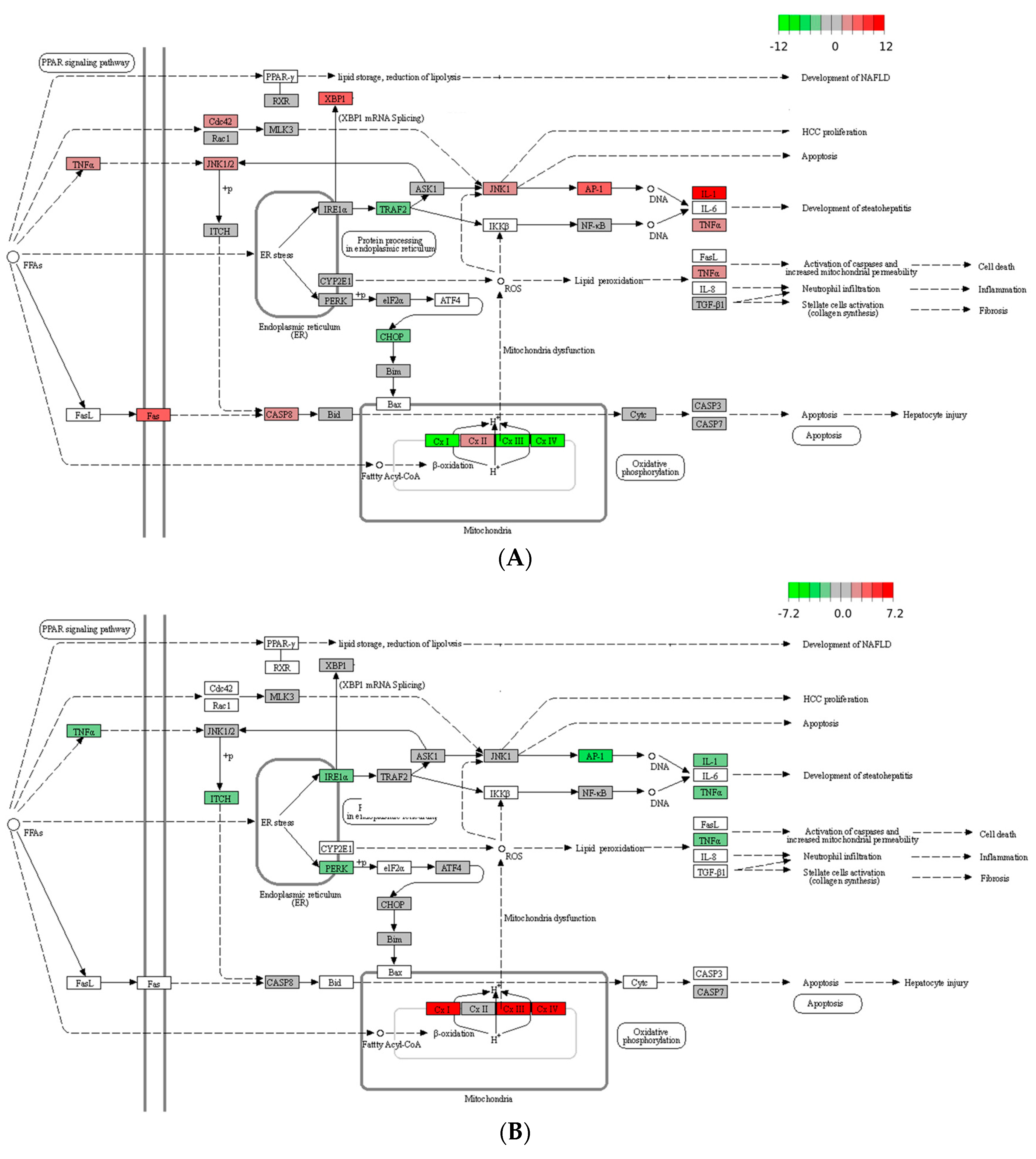 Nutrients 17 01835 g004