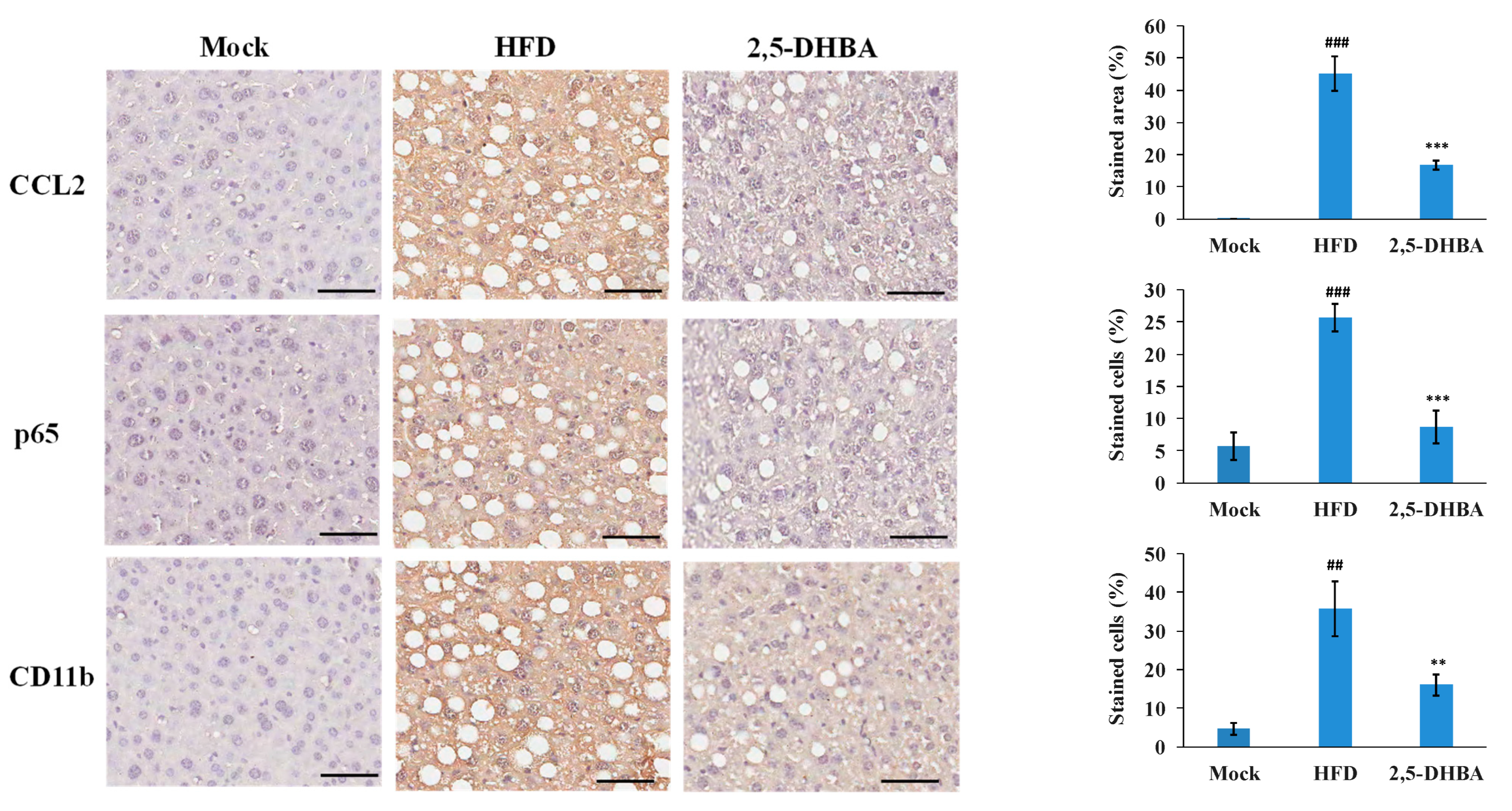 Nutrients 17 01835 g006