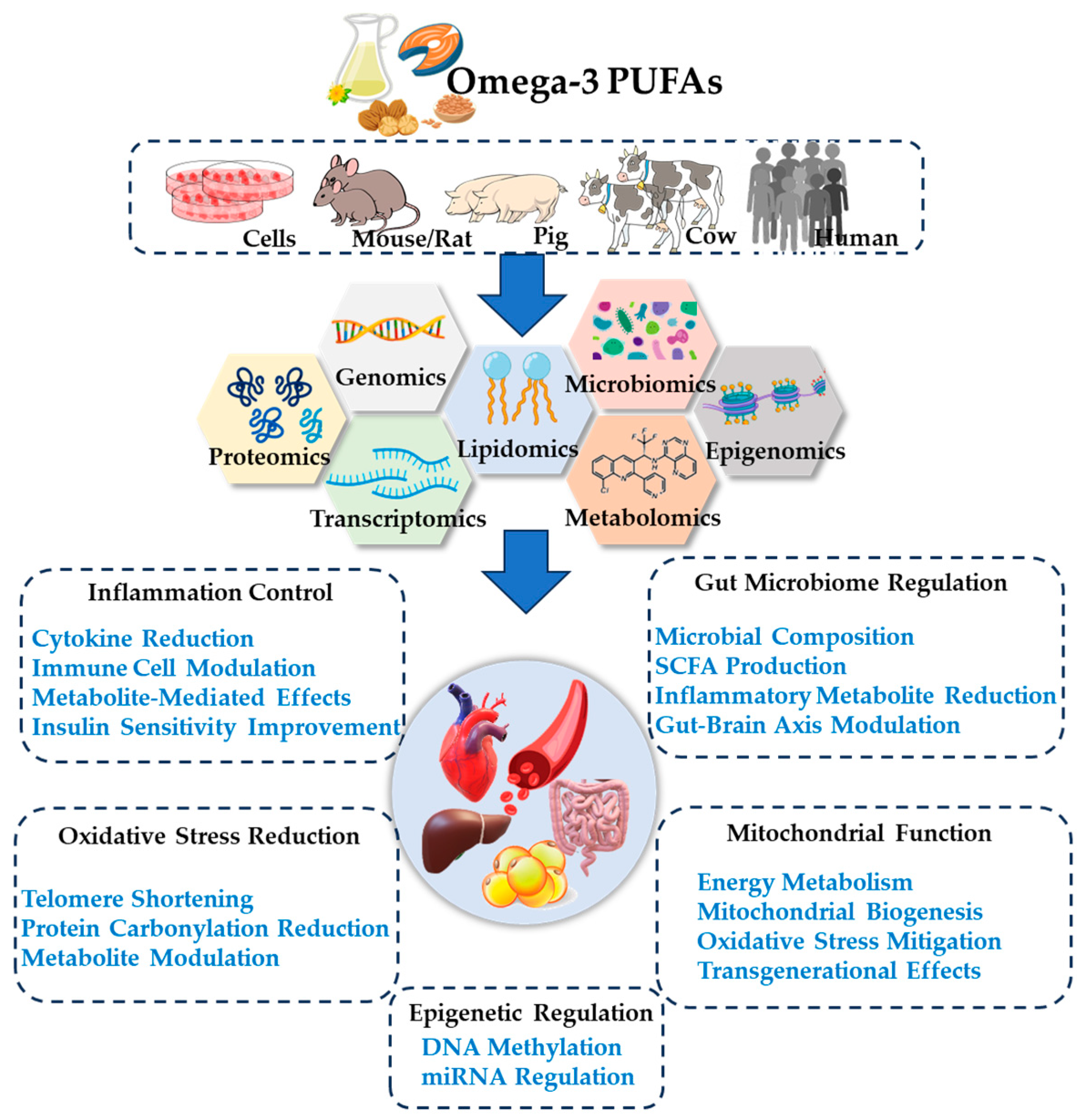 Lipid signaling and lipotoxicity in metaflammation
