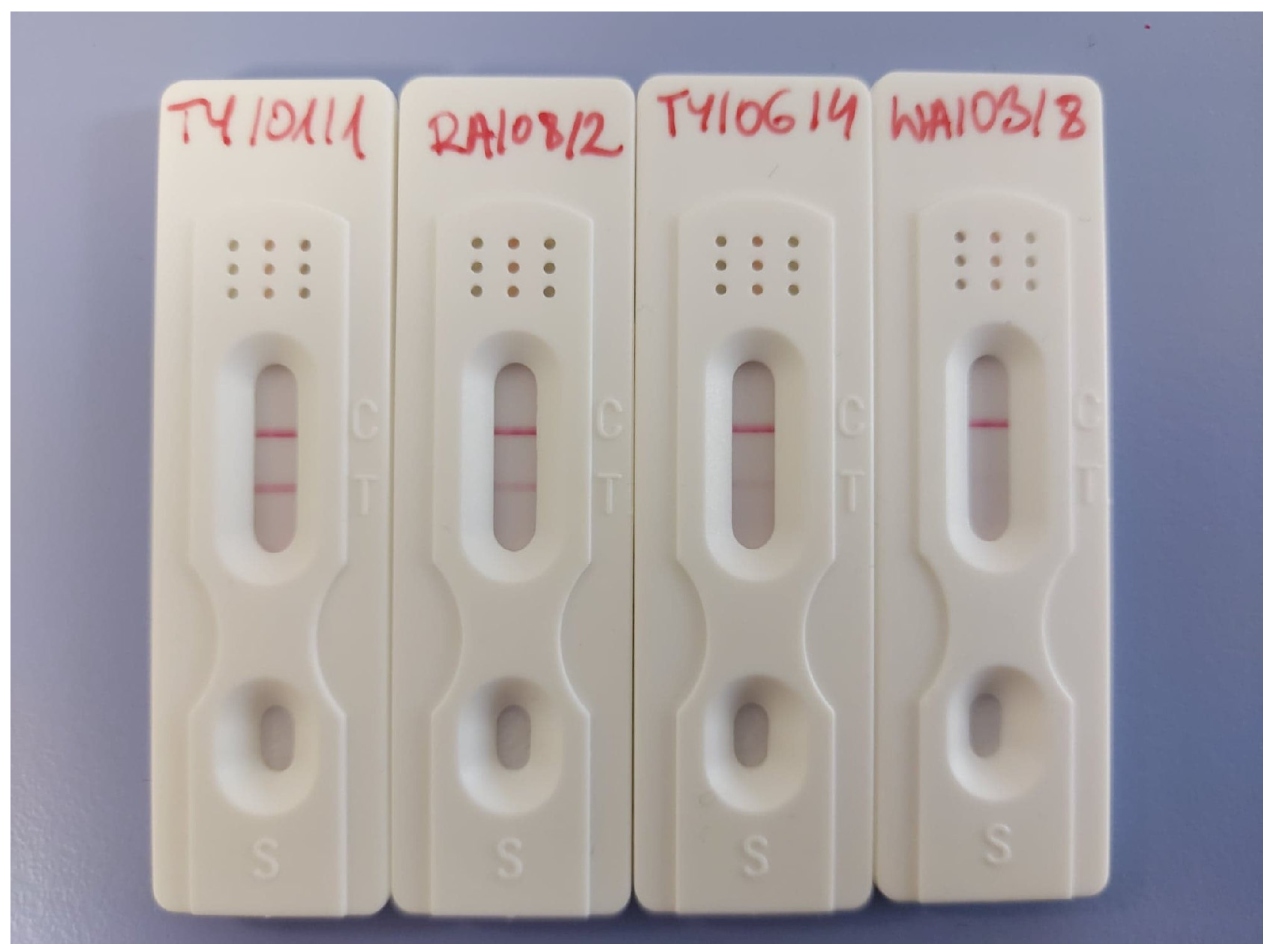 Nutrients 17 01840 g001