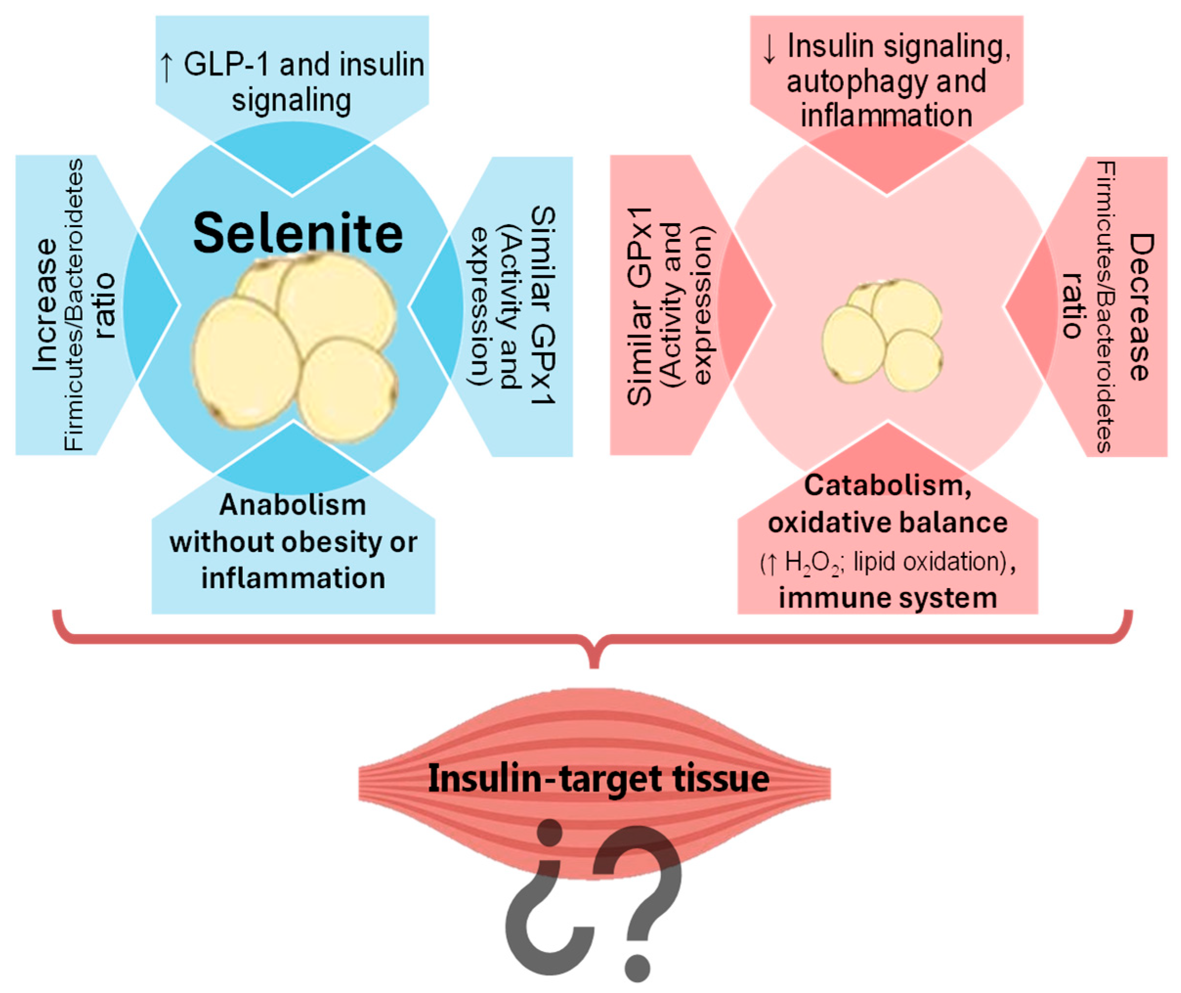 Nutrients 17 01841 g001