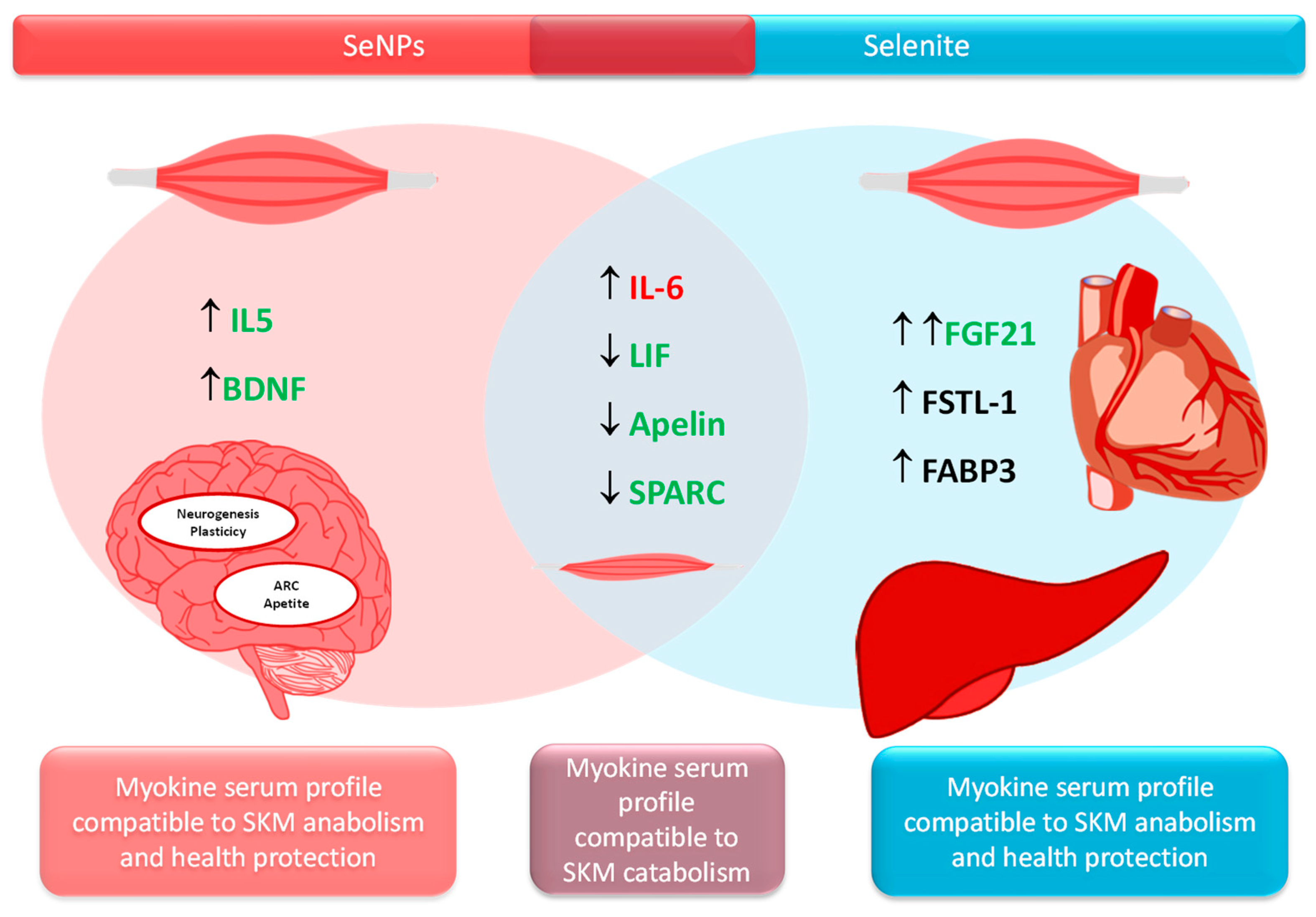 Nutrients 17 01841 g005