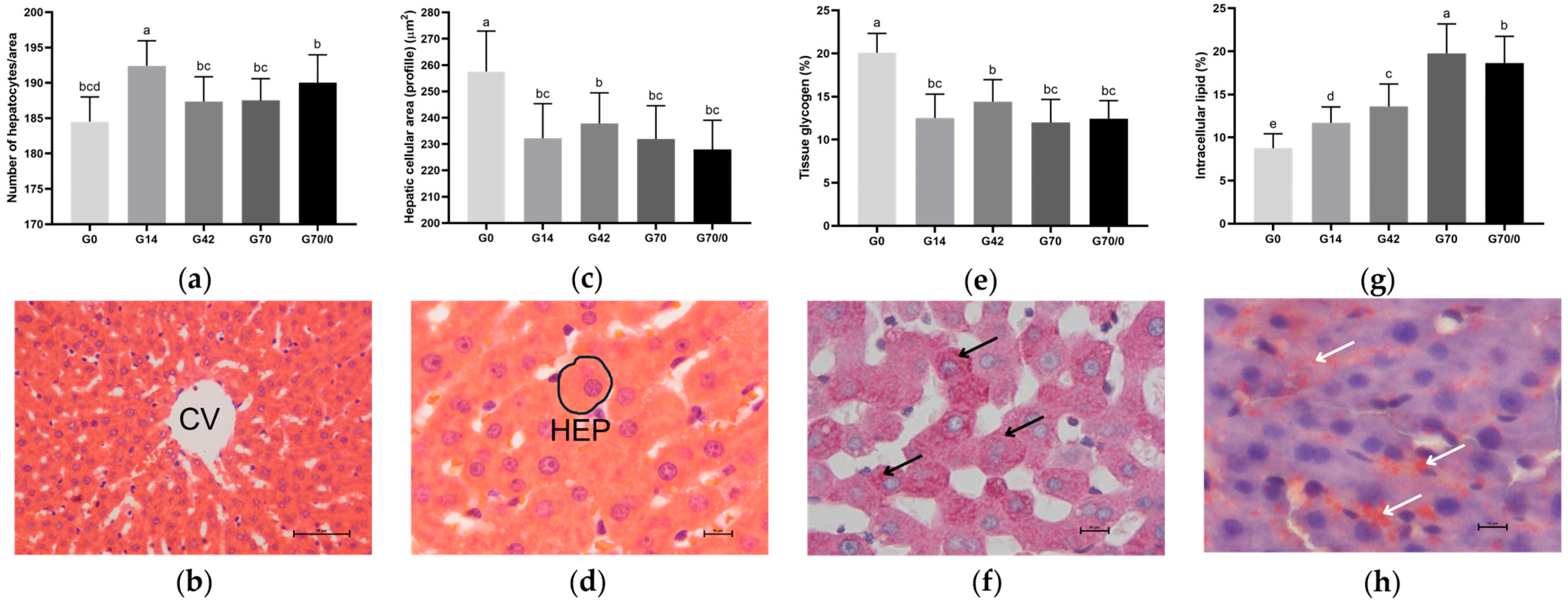 Nutrients 17 01842 g002 Nutrients 17 01842 g002