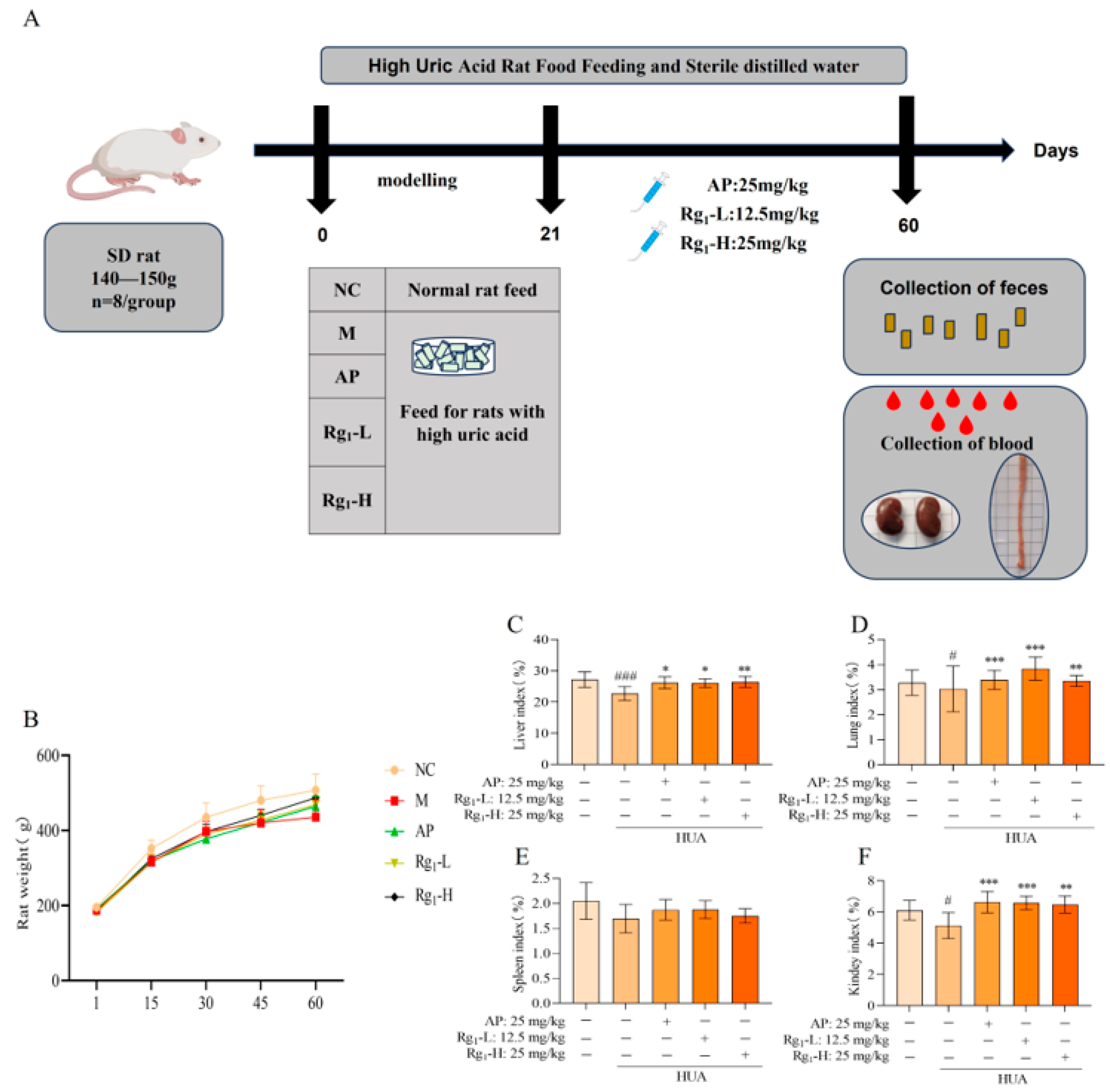 Nutrients 17 01844 g001