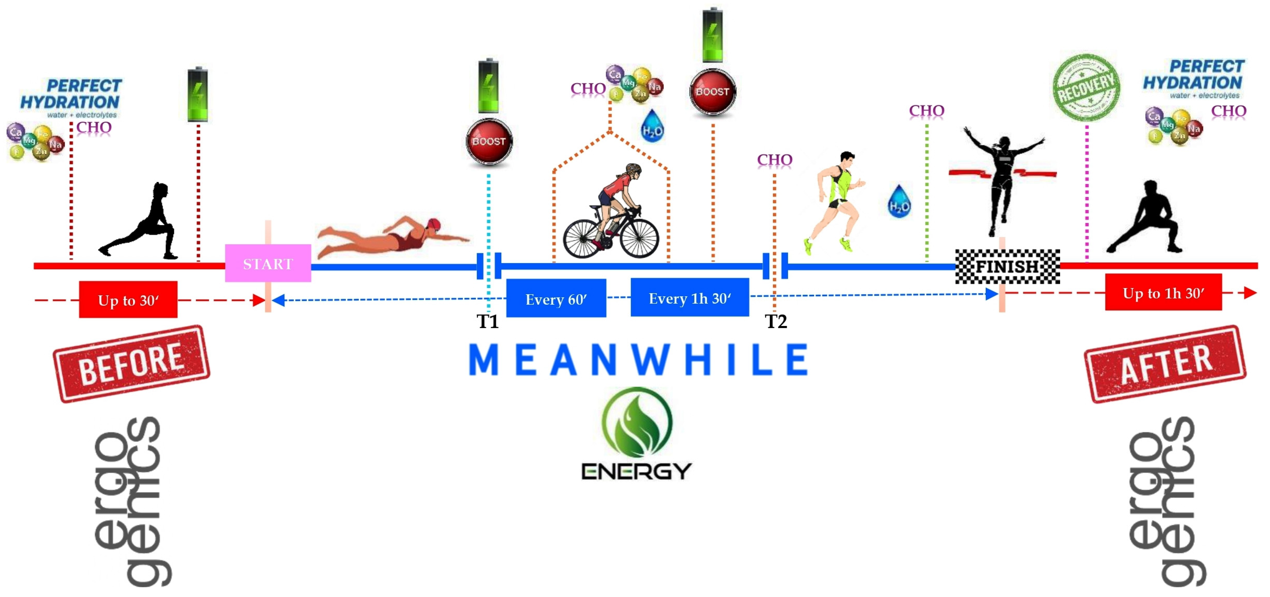 Nutrients 17 01846 g005 Nutrients 17 01846 g005