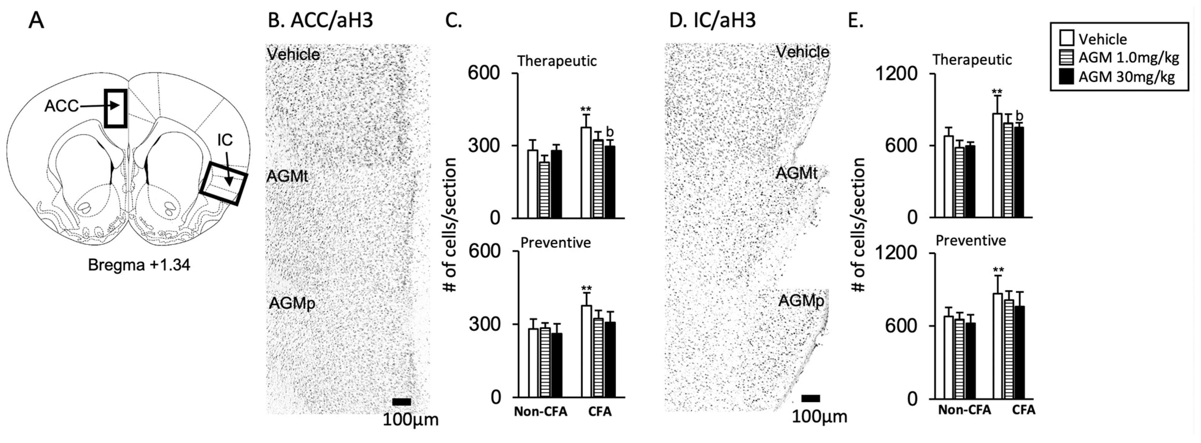 Nutrients 17 01848 g006