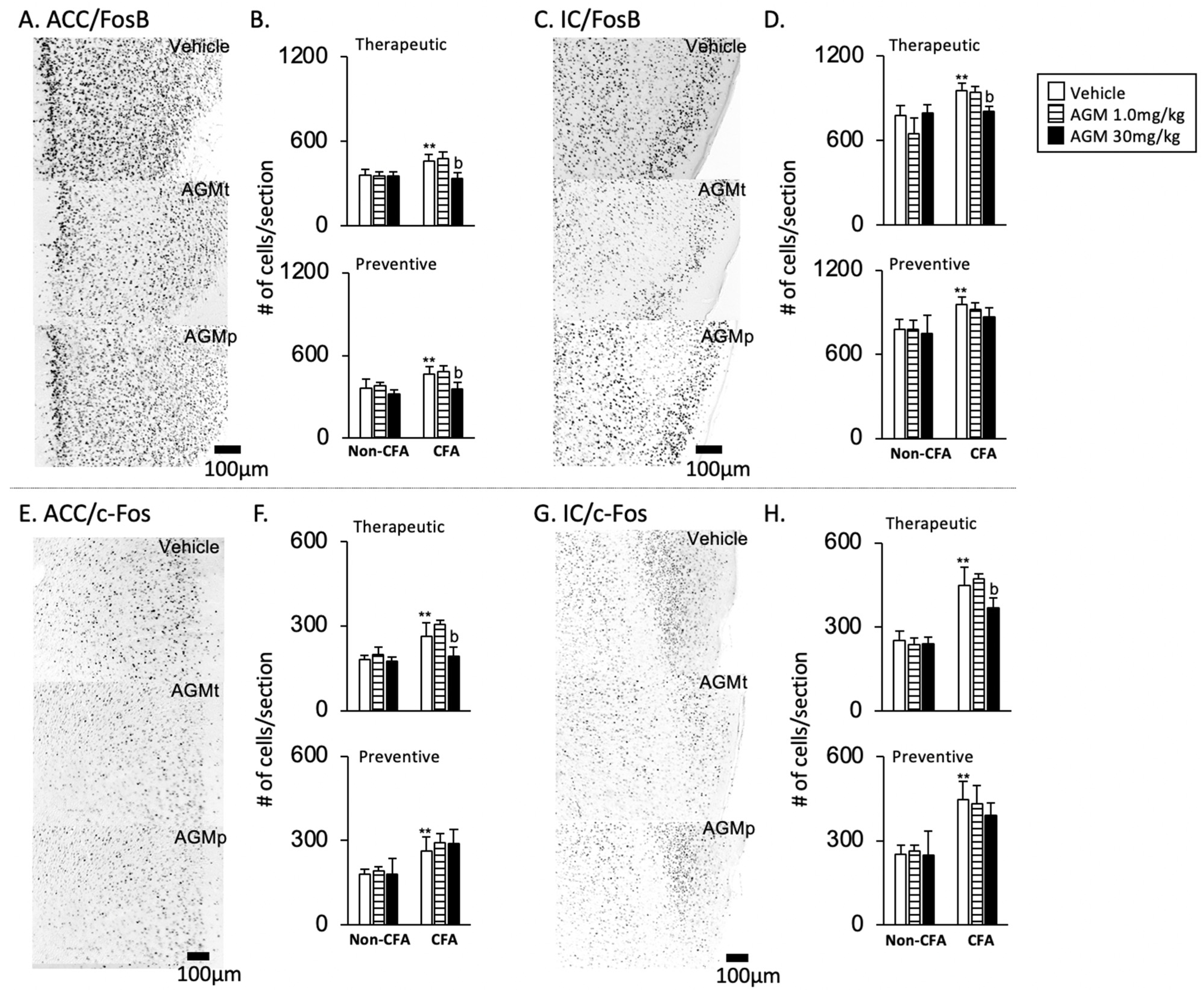Nutrients 17 01848 g007