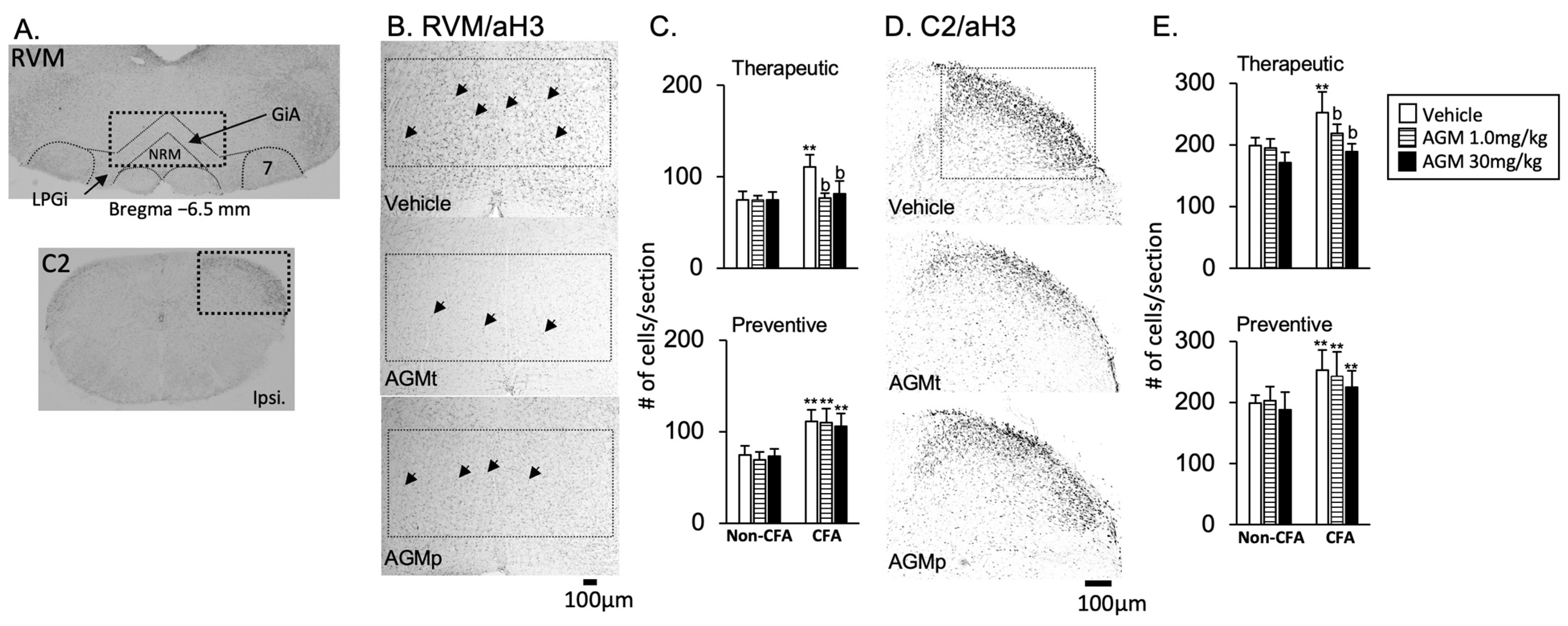 Nutrients 17 01848 g008