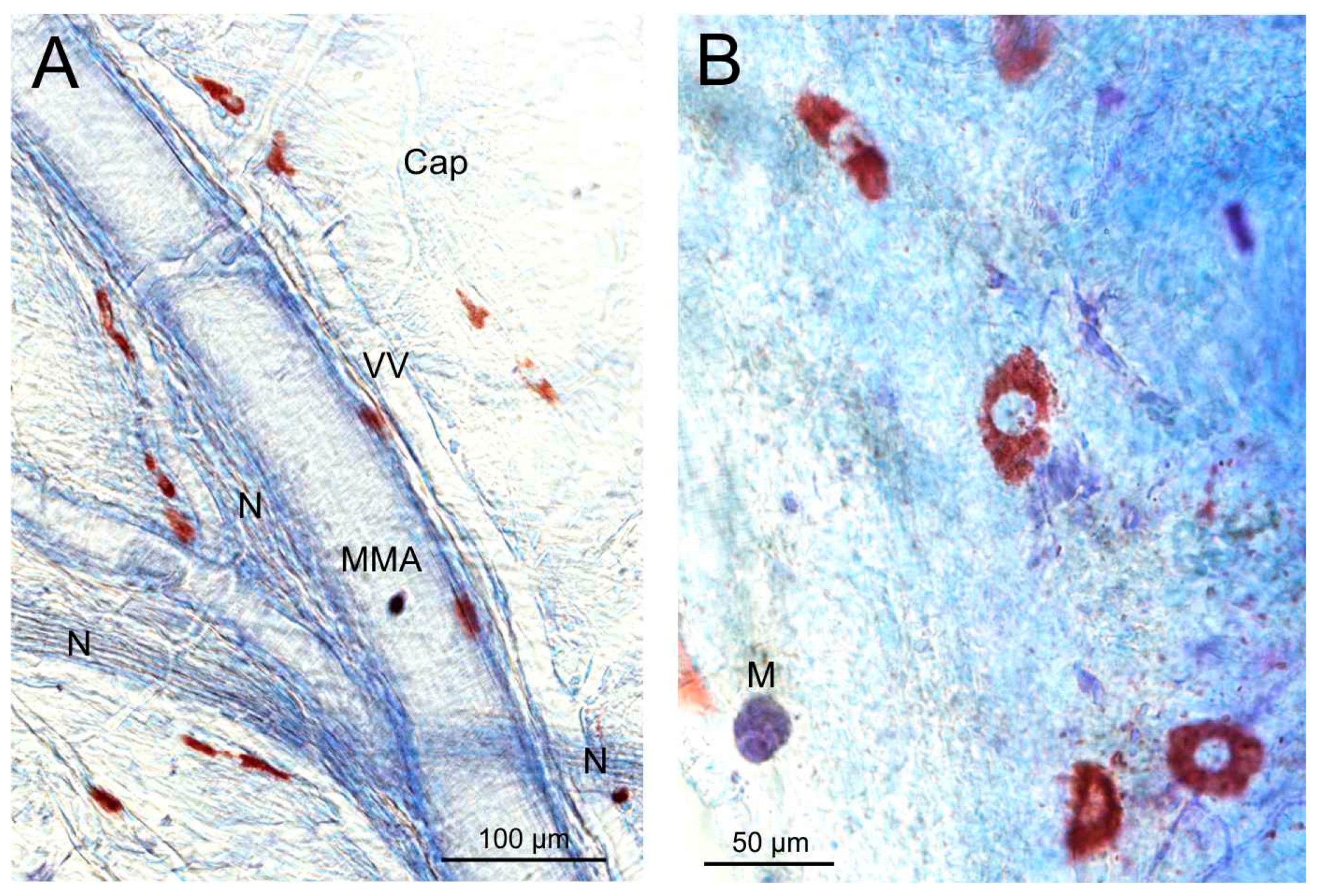 Nutrients 17 01851 g006