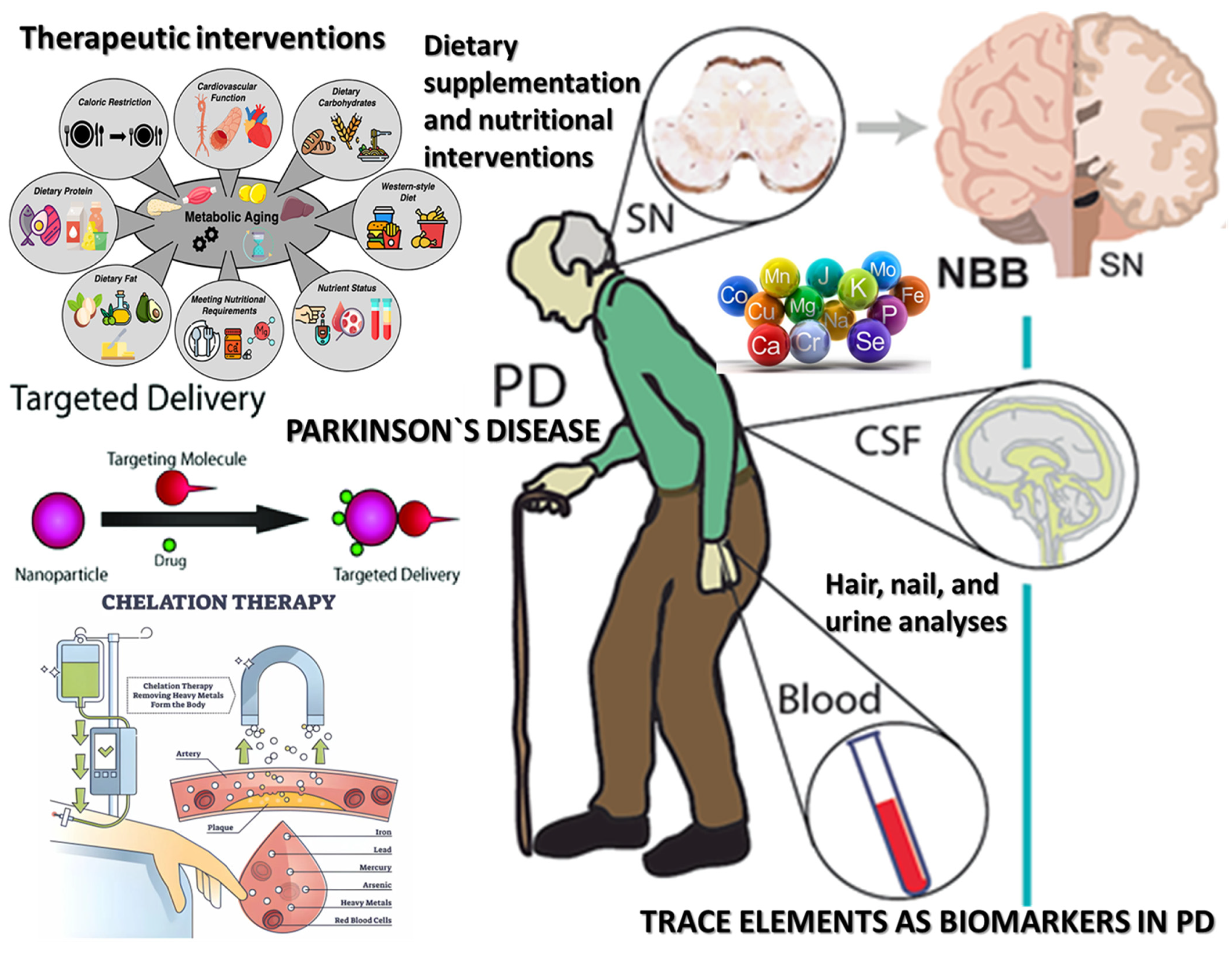 Nutrients 17 01852 g004 Nutrients 17 01852 g004